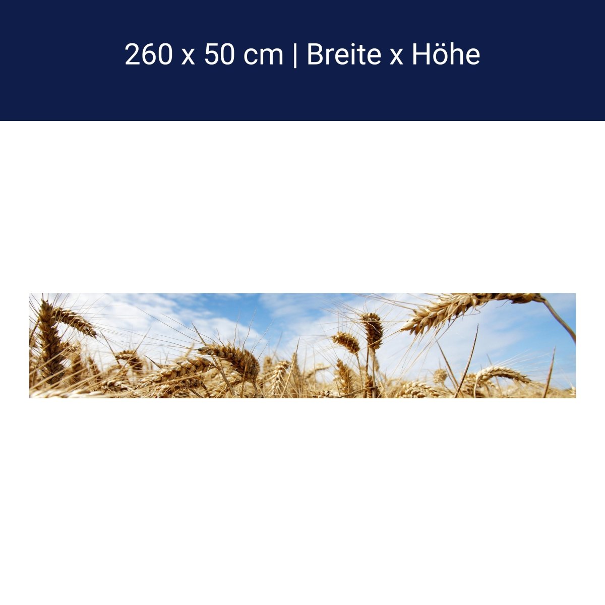 Küchenrückwand Kornfeld M0009 Küchenrückwand Kornfeld M0009