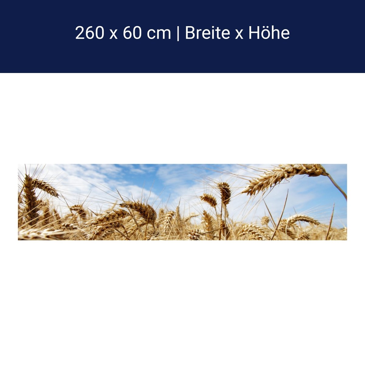 Küchenrückwand Kornfeld M0009 Küchenrückwand Kornfeld M0009