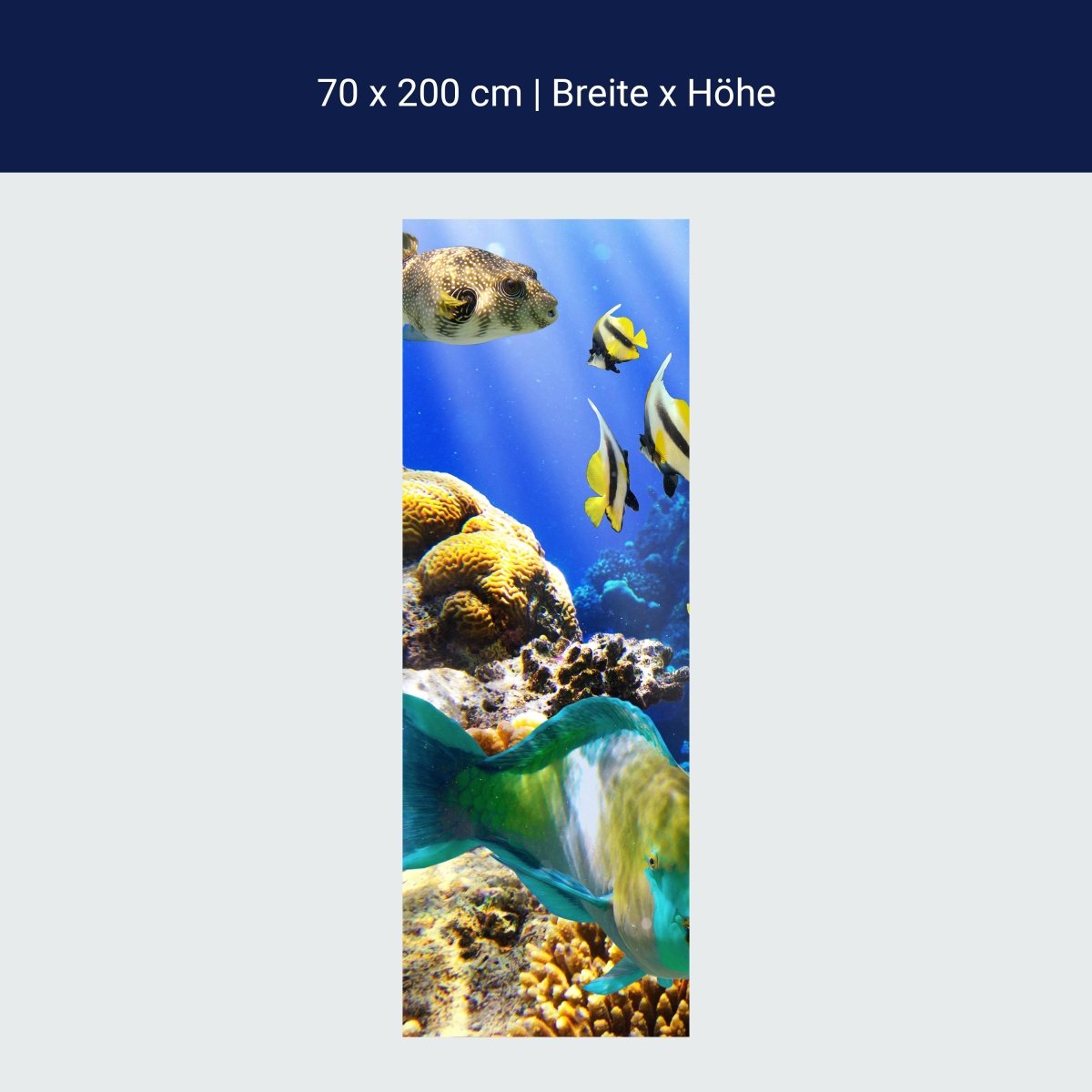 Duschwand Unterwasser M0011 Duschwand Unterwasser M0011