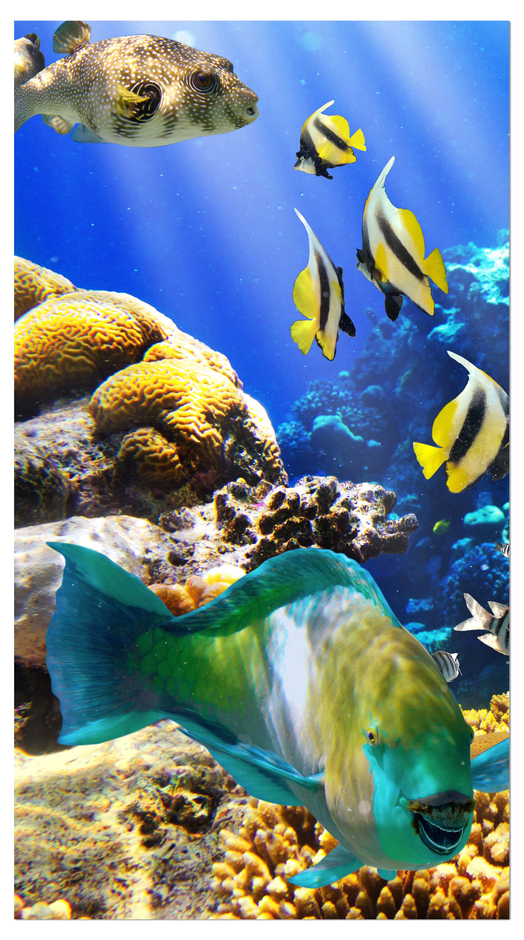 Garderobe Unterwasser M0011 entdecken - Bild 4 Garderobe Unterwasser M0011 entdecken - Bild 4