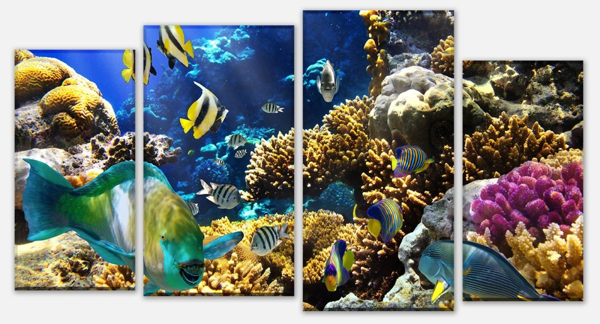 Leinwandbild Mehrteiler Unterwasser M0011 Leinwandbild Mehrteiler Unterwasser M0011