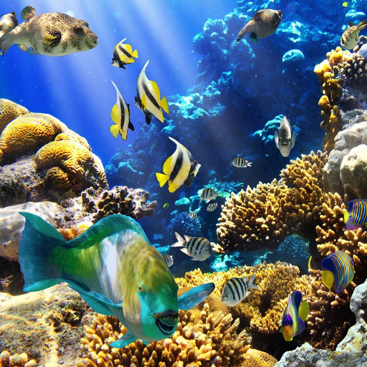 Beistelltisch Unterwasser M0011 entdecken - Bild 2 Beistelltisch Unterwasser M0011 entdecken - Bild 2