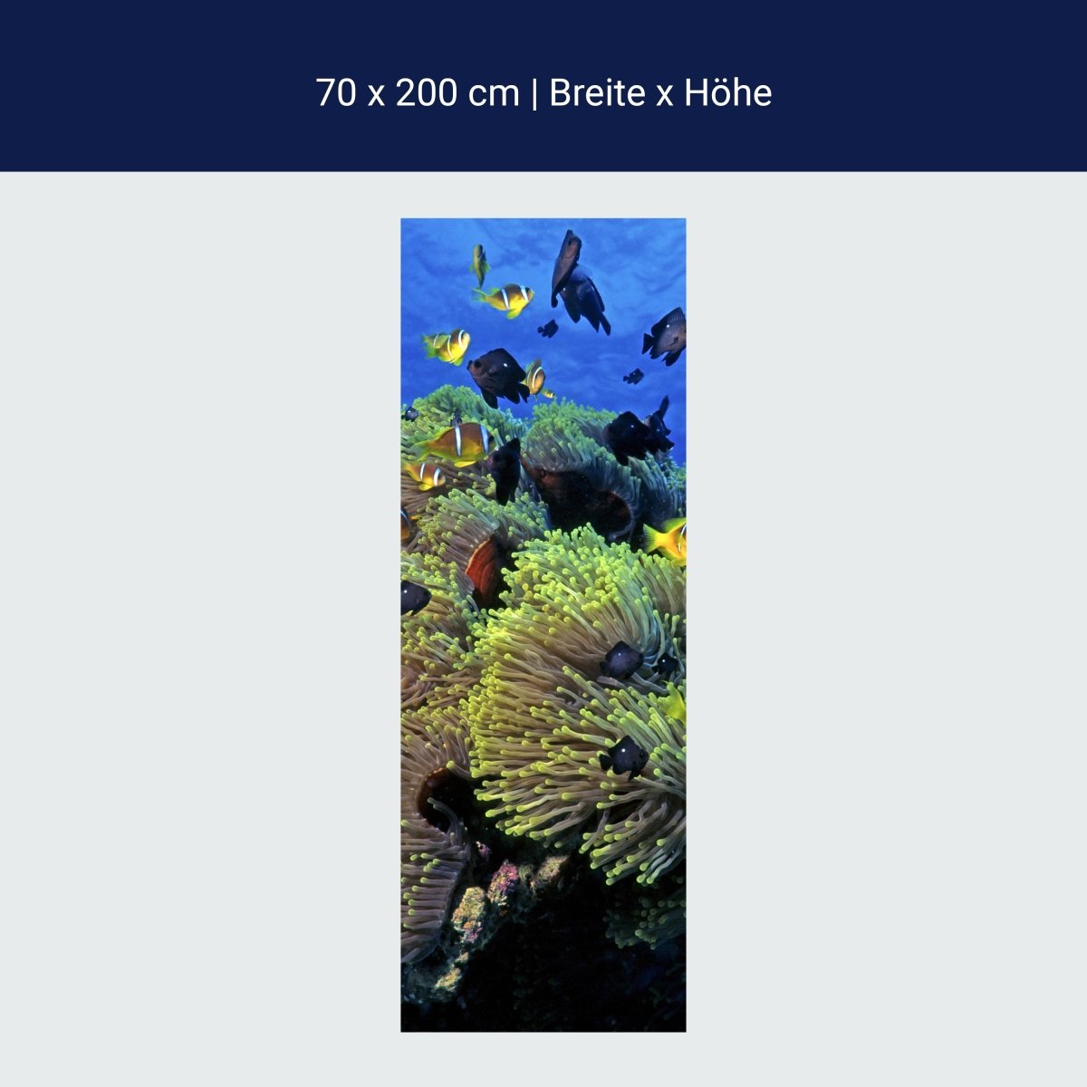 Duschwand Unterwasserriff M0017 Duschwand Unterwasserriff M0017