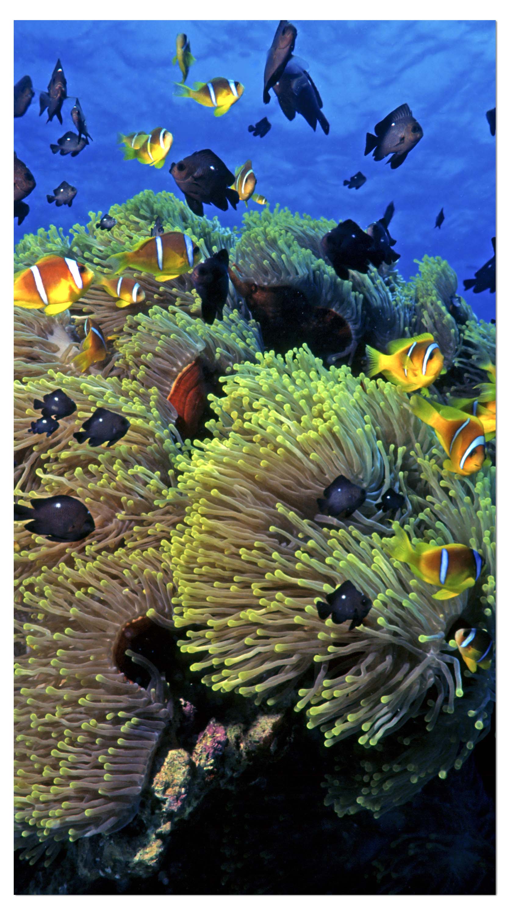 Garderobe Unterwasserriff M0017 entdecken - Bild 4 Garderobe Unterwasserriff M0017 entdecken - Bild 4