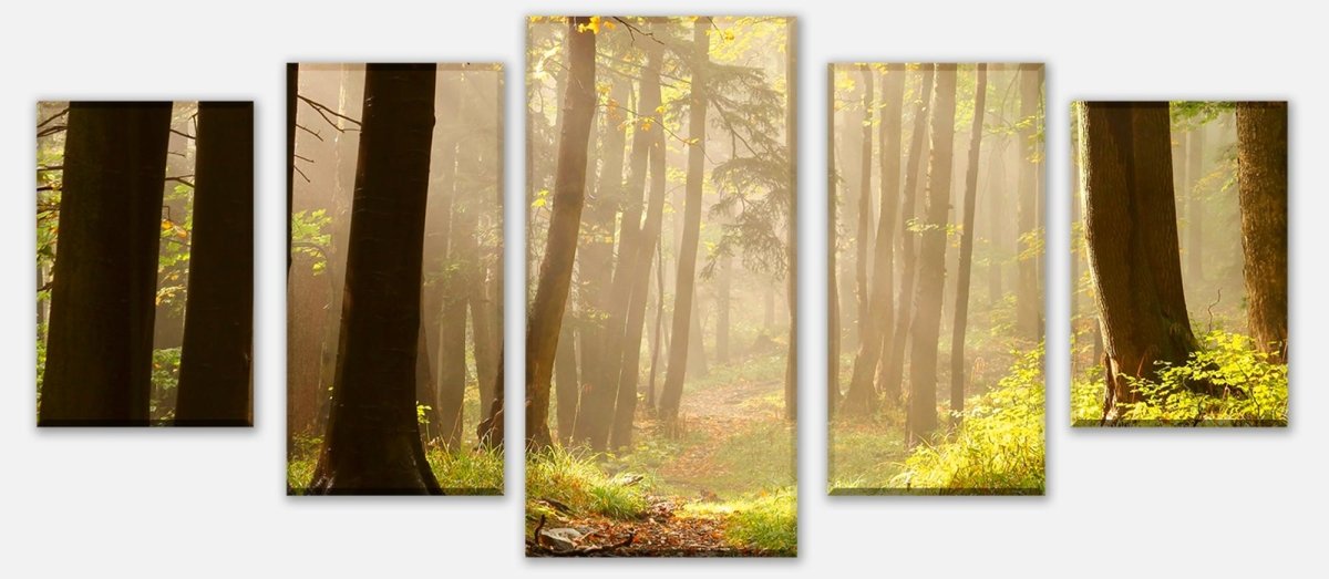 Leinwandbild Mehrteiler Waldweg M0024 entdecken - Bild 1 Leinwandbild Mehrteiler Waldweg M0024 entdecken - Bild 1