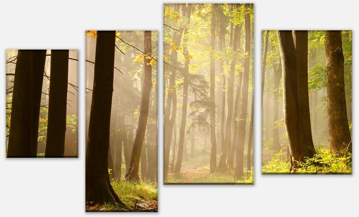 Leinwandbild Mehrteiler Waldweg M0024 Leinwandbild Mehrteiler Waldweg M0024