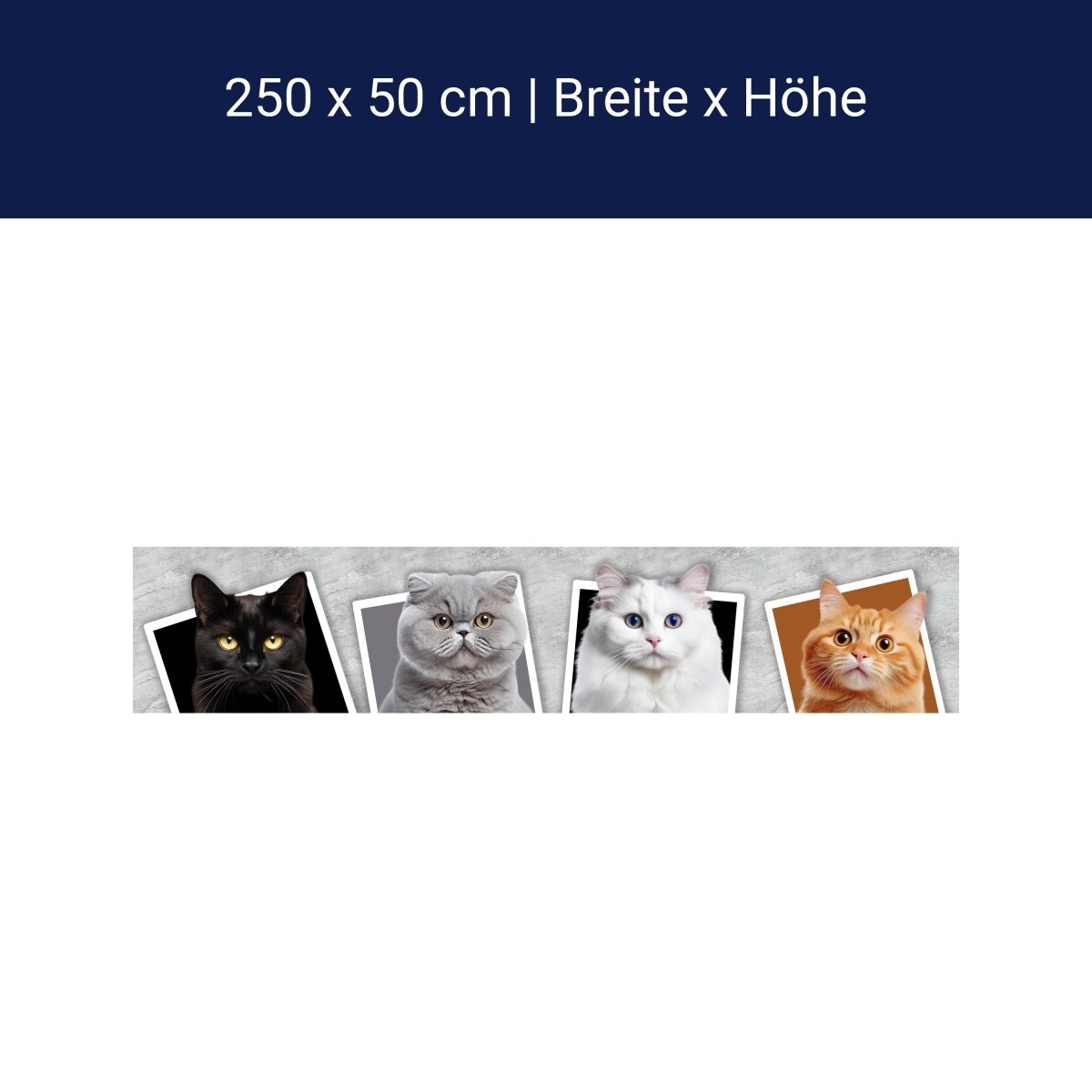 Panorama-Fototapete Katzen Collage M0034 Panorama-Fototapete Katzen Collage M0034