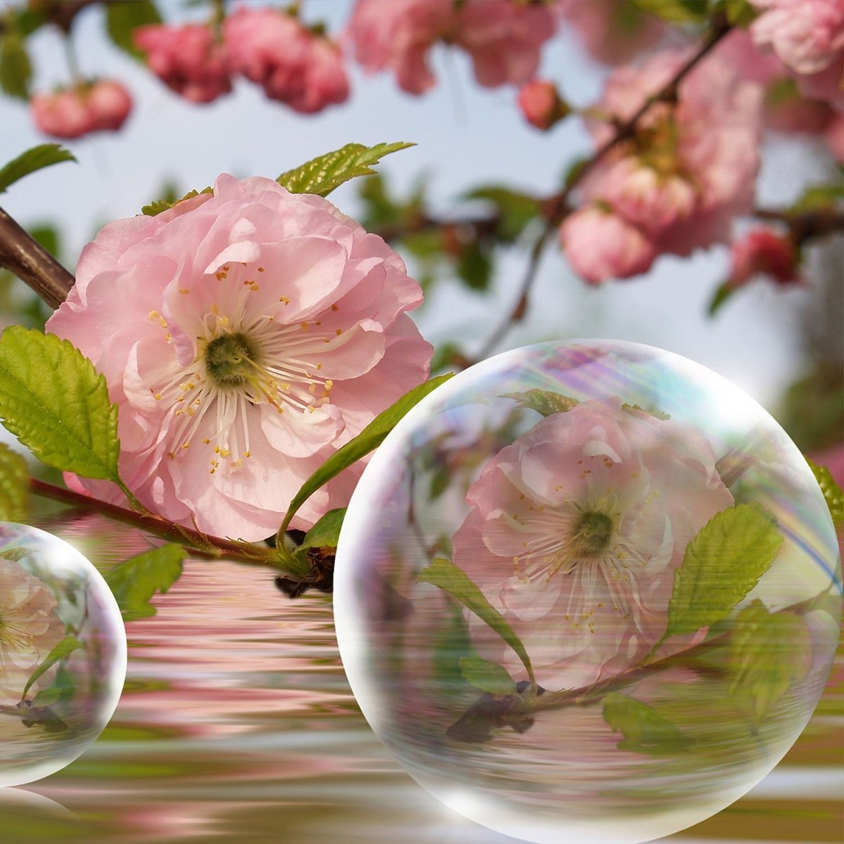 Beistelltisch Seifenblasen M0035 entdecken - Bild 2 Beistelltisch Seifenblasen M0035 entdecken - Bild 2