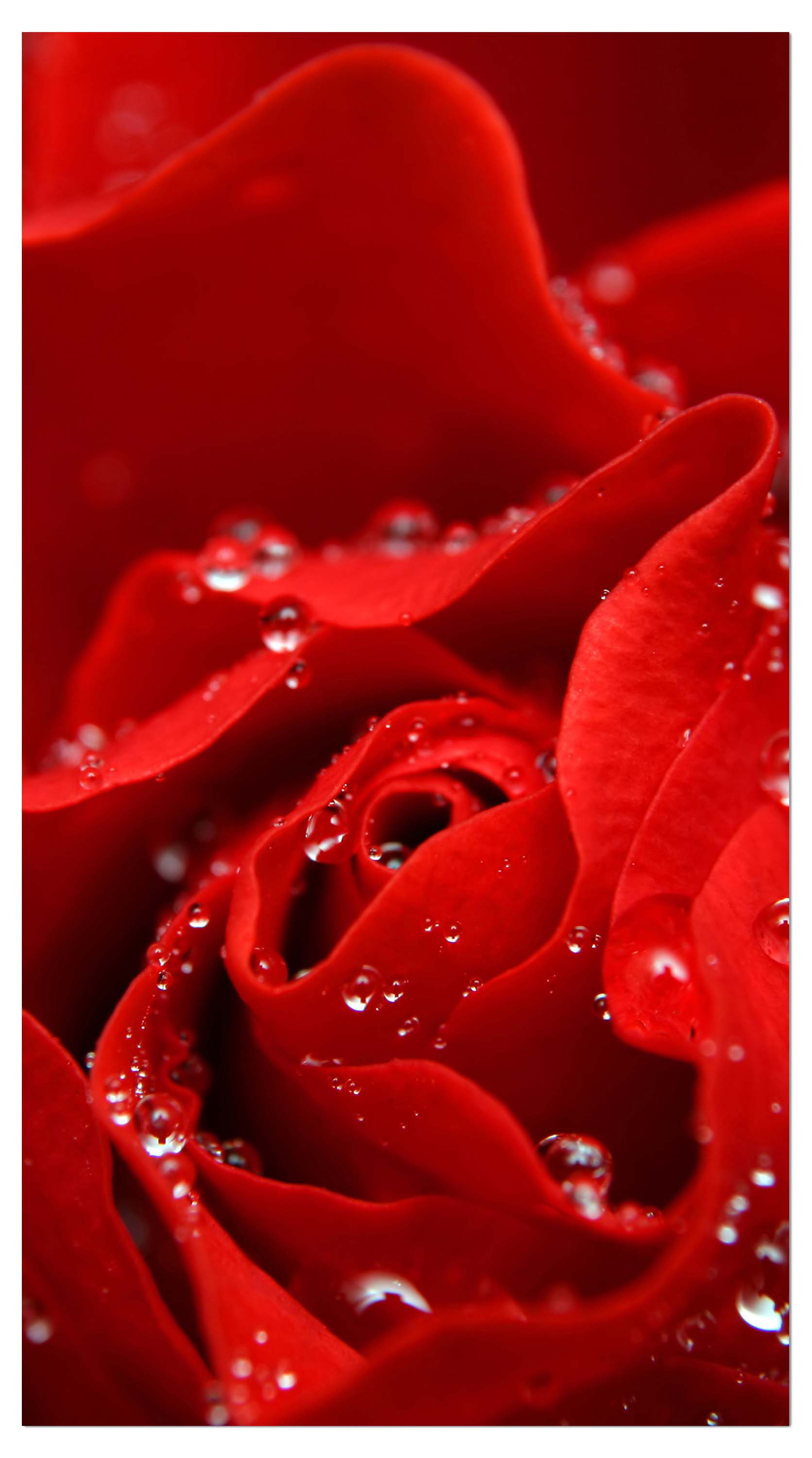 Garderobe Rosenblüte M0038 entdecken - Bild 4 Garderobe Rosenblüte M0038 entdecken - Bild 4