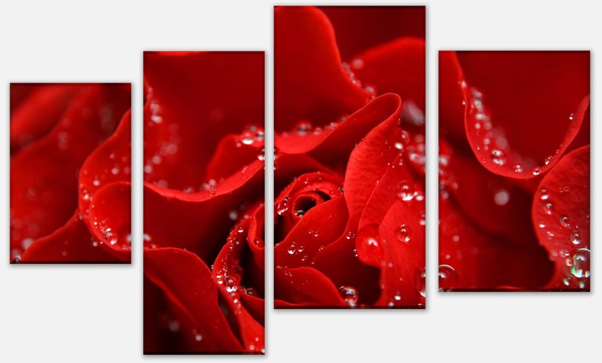 Leinwandbild Mehrteiler Rosenblüte M0038 Leinwandbild Mehrteiler Rosenblüte M0038