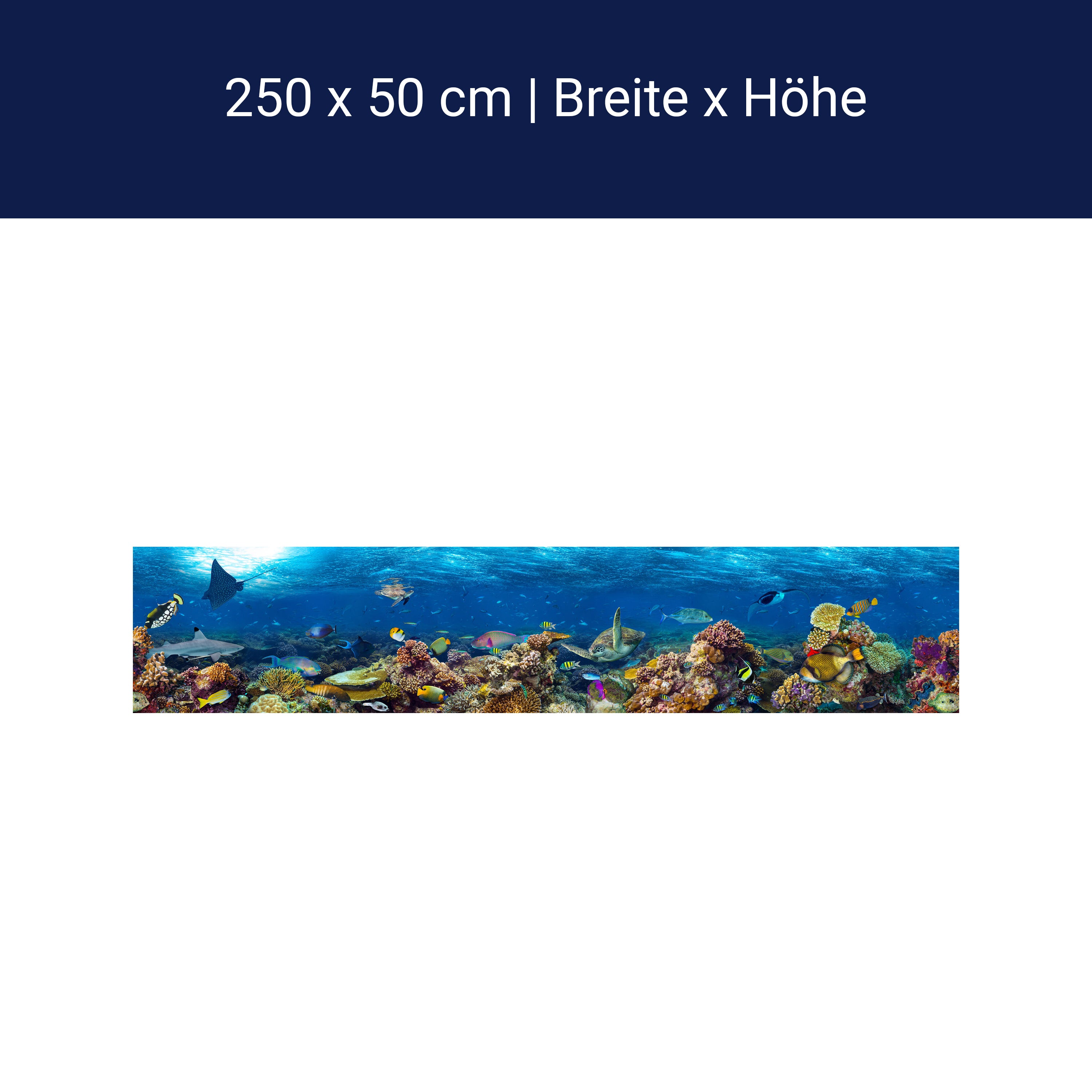 Panorama-Fototapete Unterwasser Welt M0039 Panorama-Fototapete Unterwasser Welt M0039