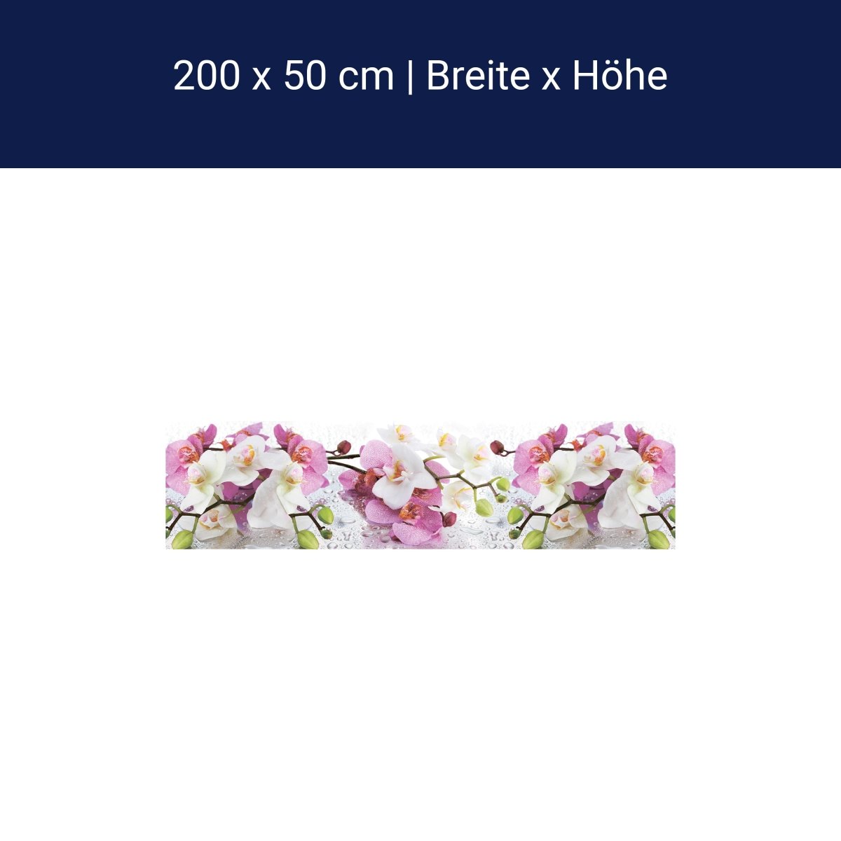 Panorama-Fototapete Orchideen, Blumen M0043 Panorama-Fototapete Orchideen, Blumen M0043