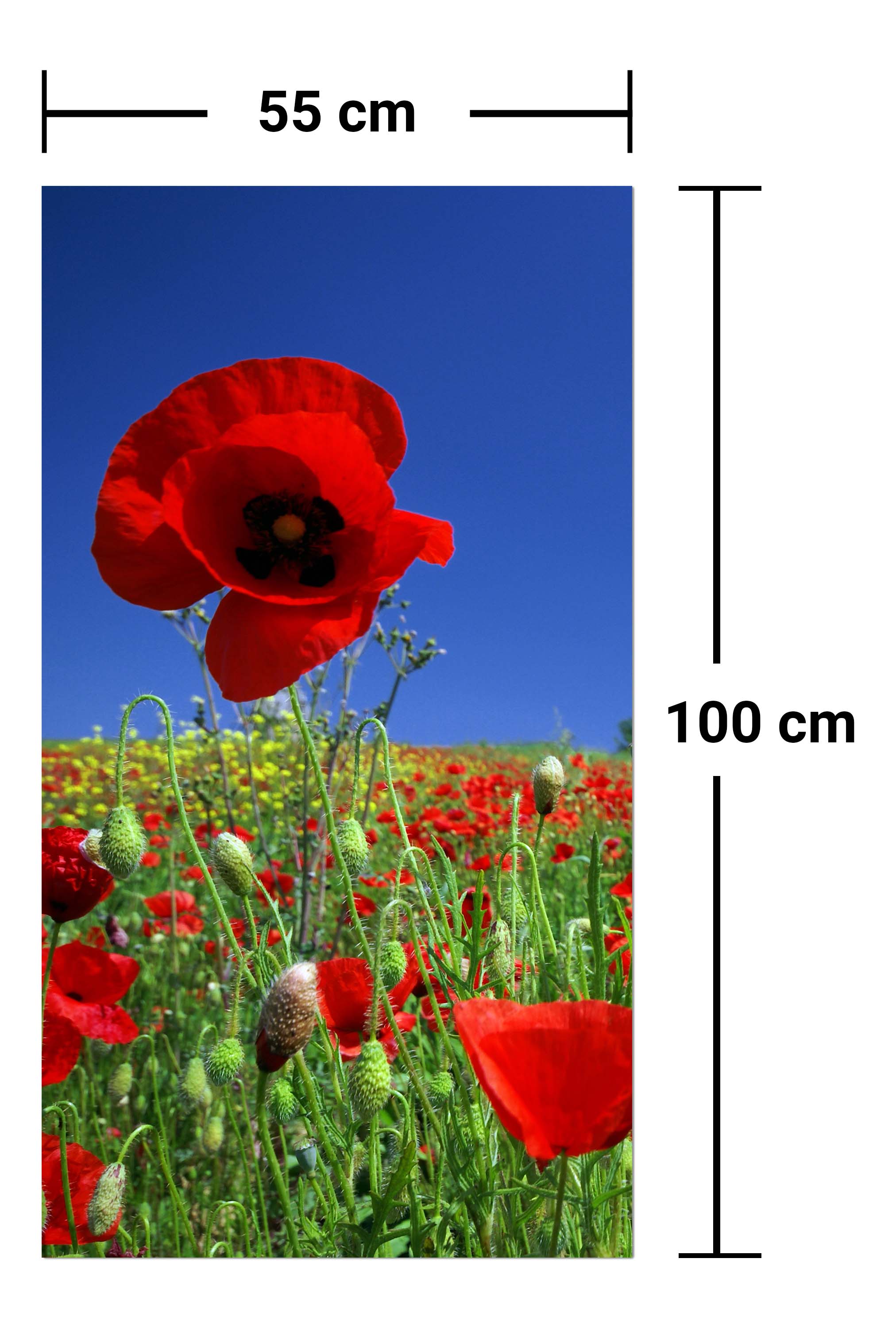 Garderobe Mohnblumenfeld M0046 entdecken - Bild 7 Garderobe Mohnblumenfeld M0046 entdecken - Bild 7