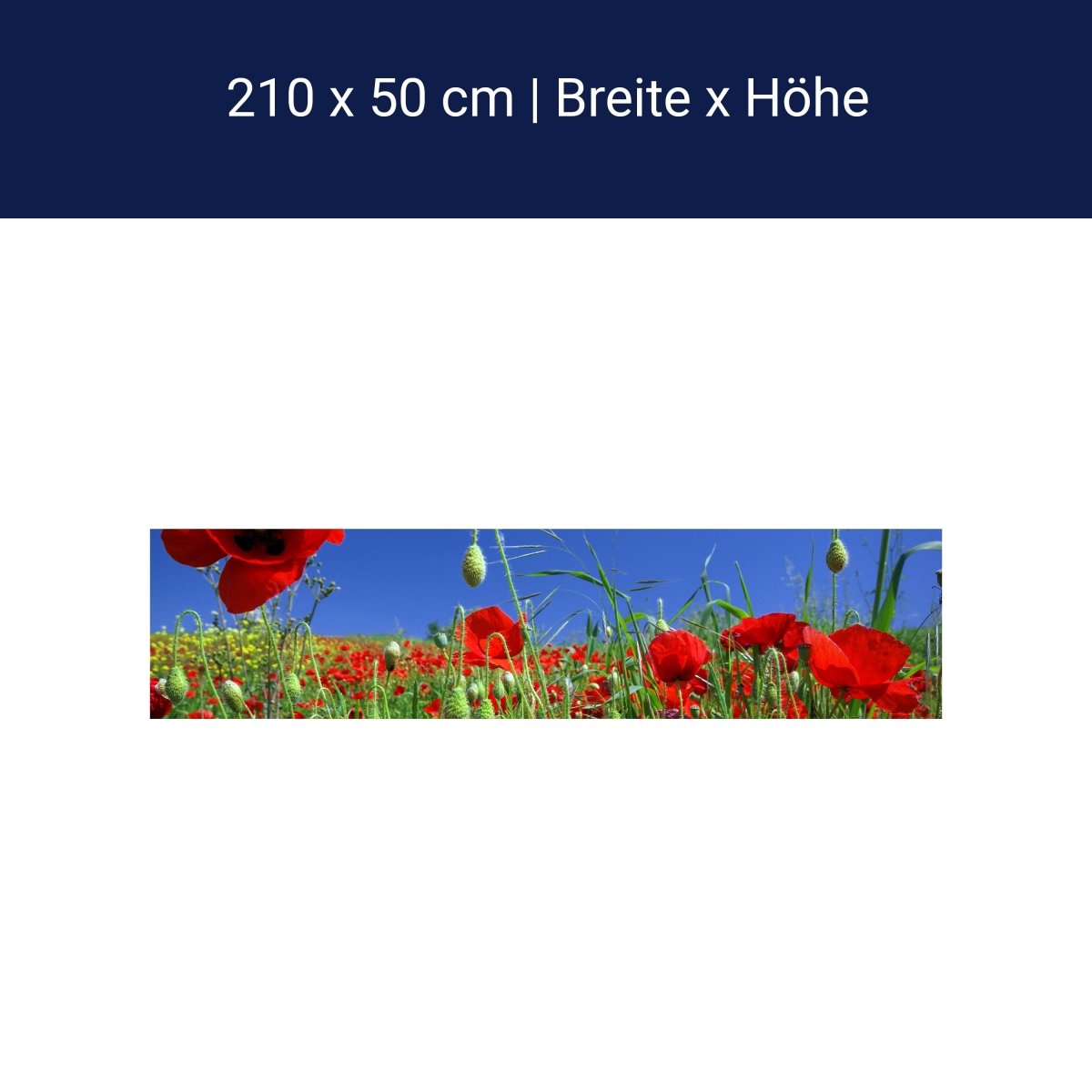 Küchenrückwand Mohnblumenfeld M0046 Küchenrückwand Mohnblumenfeld M0046