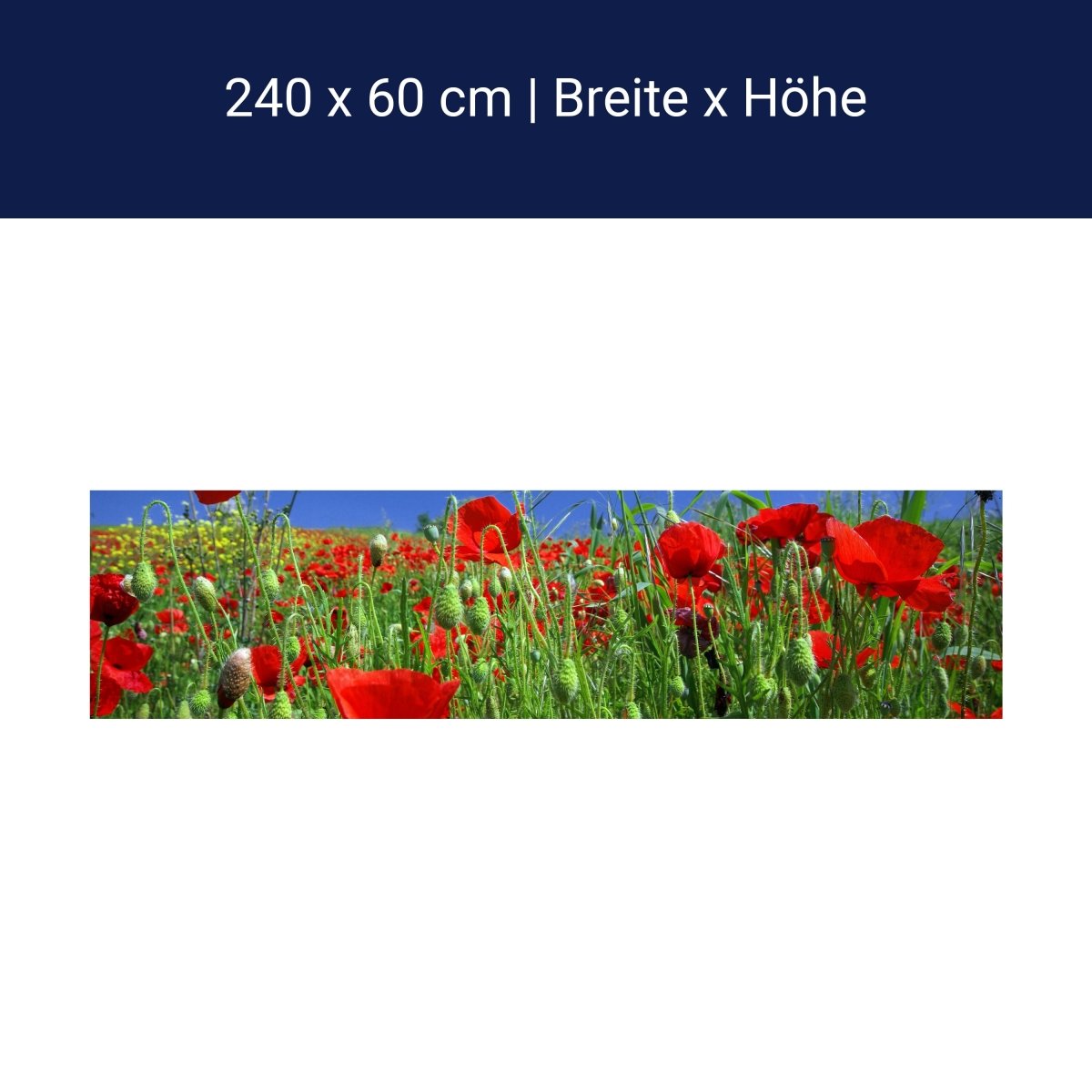 Küchenrückwand Mohnblumenfeld M0046 Küchenrückwand Mohnblumenfeld M0046