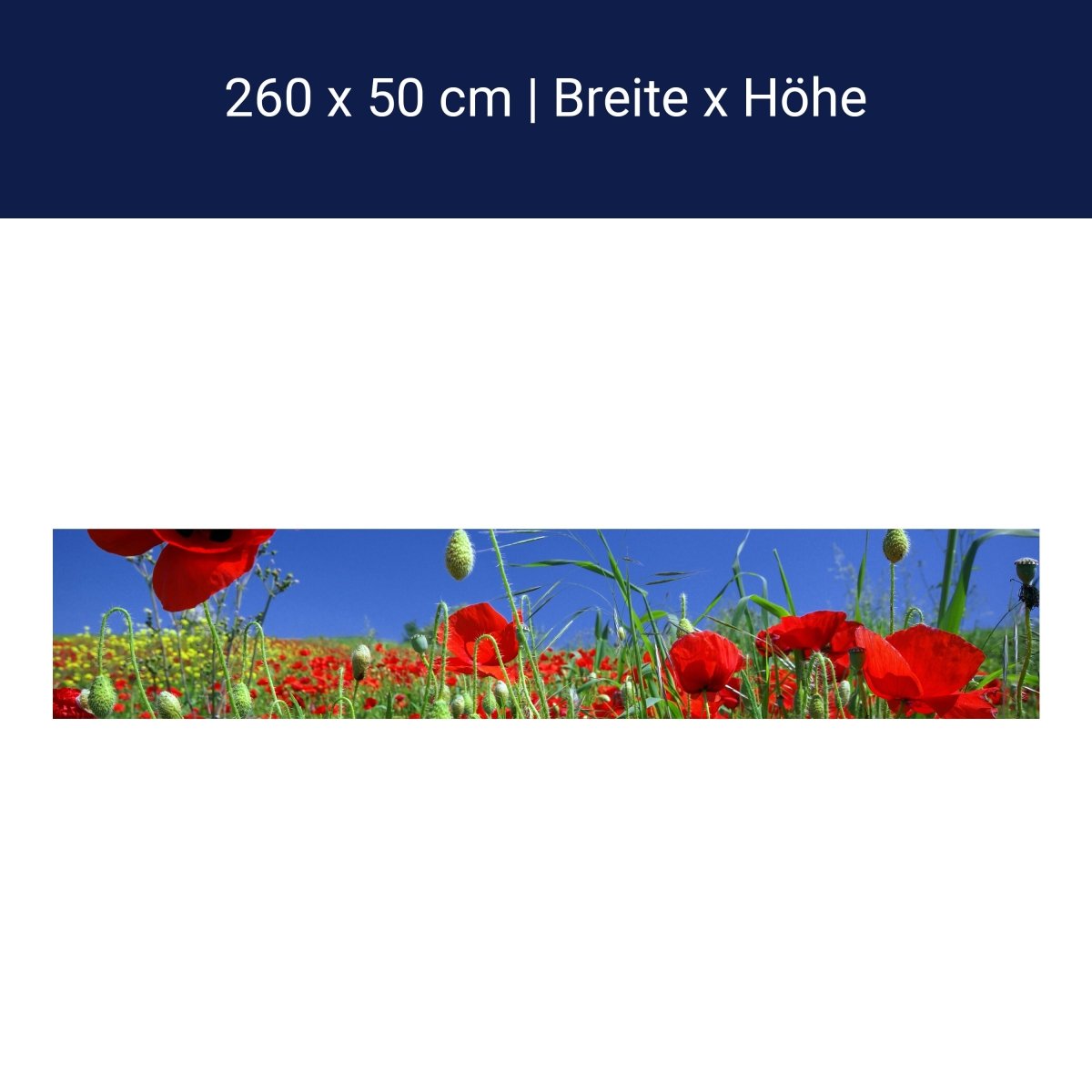 Küchenrückwand Mohnblumenfeld M0046 Küchenrückwand Mohnblumenfeld M0046