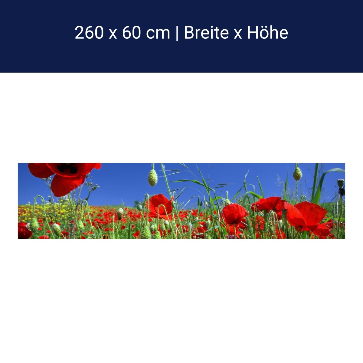 Küchenrückwand Mohnblumenfeld M0046 Küchenrückwand Mohnblumenfeld M0046