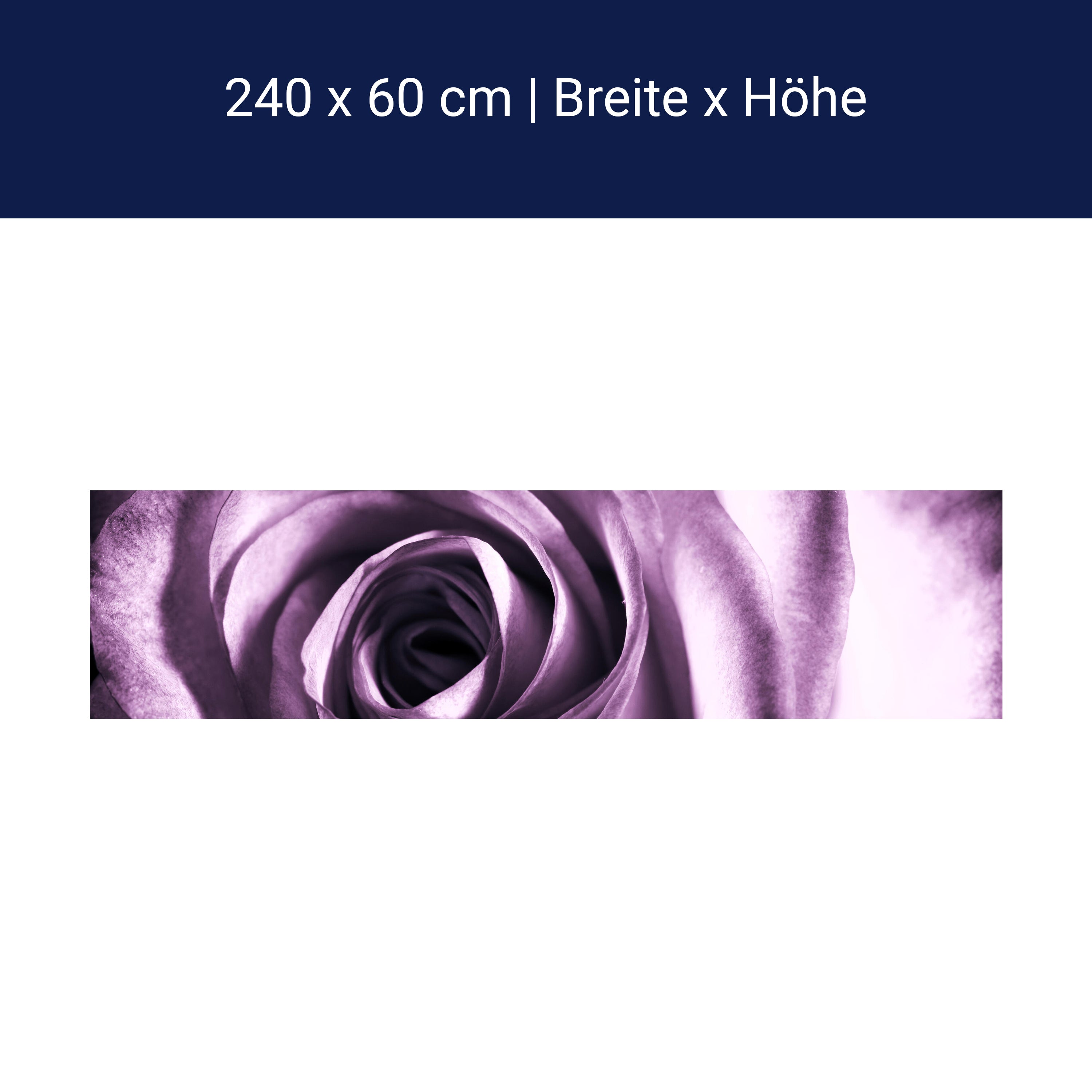 Küchenrückwand violette Rose M0051 Küchenrückwand violette Rose M0051
