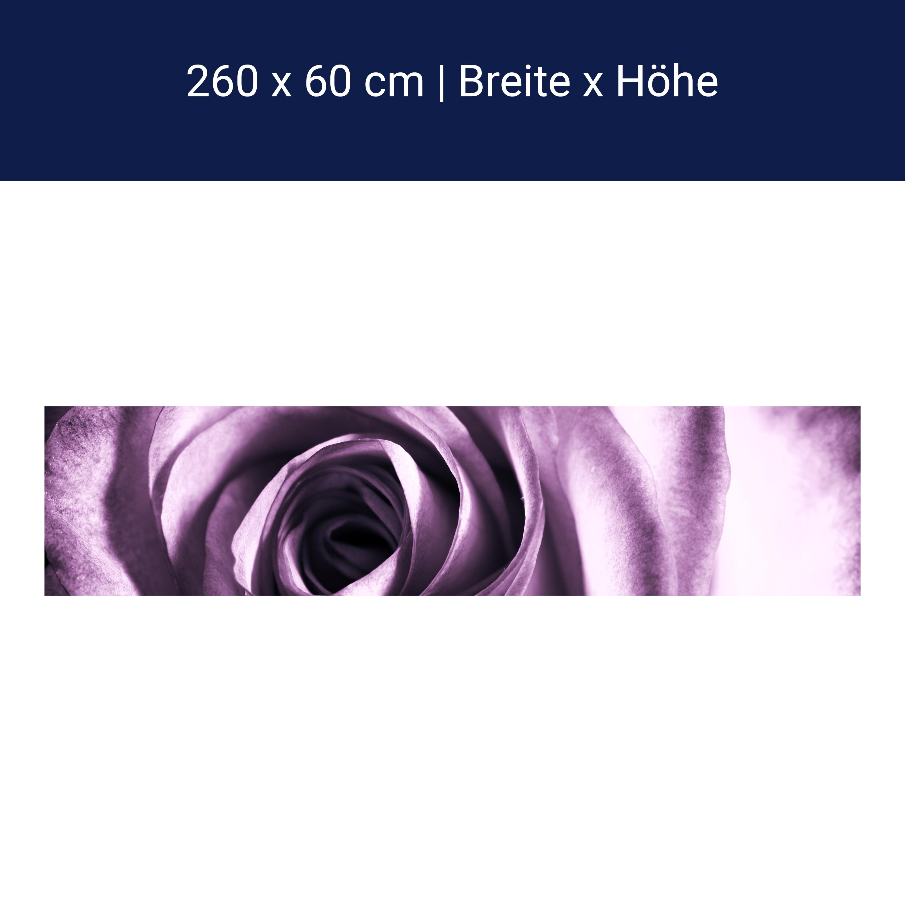 Küchenrückwand violette Rose M0051 Küchenrückwand violette Rose M0051