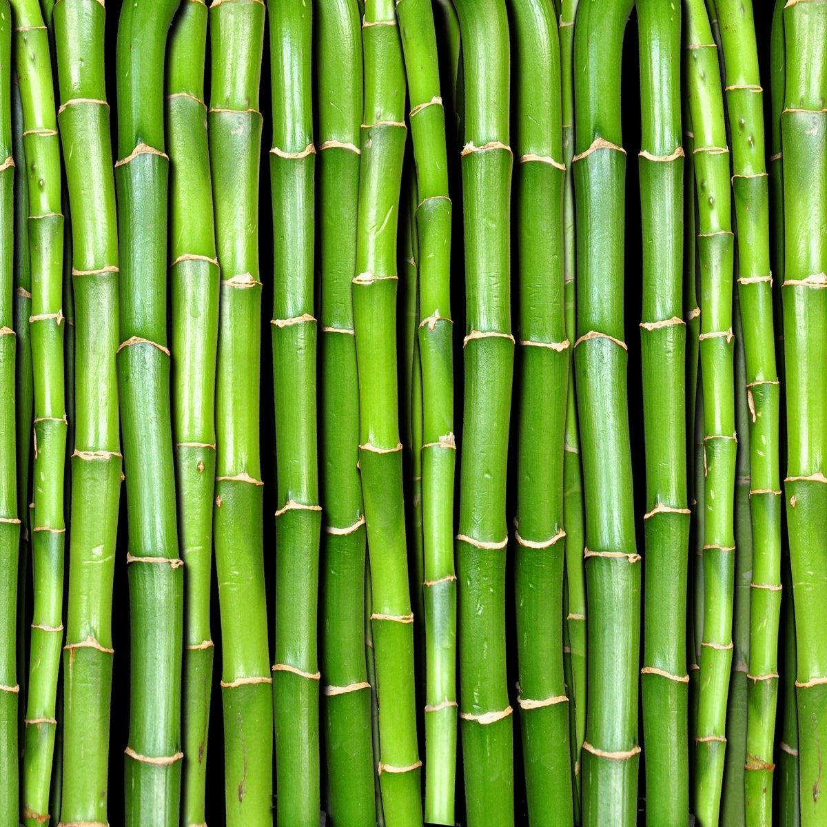 Beistelltisch Bambuswand M0054 entdecken - Bild 2 Beistelltisch Bambuswand M0054 entdecken - Bild 2