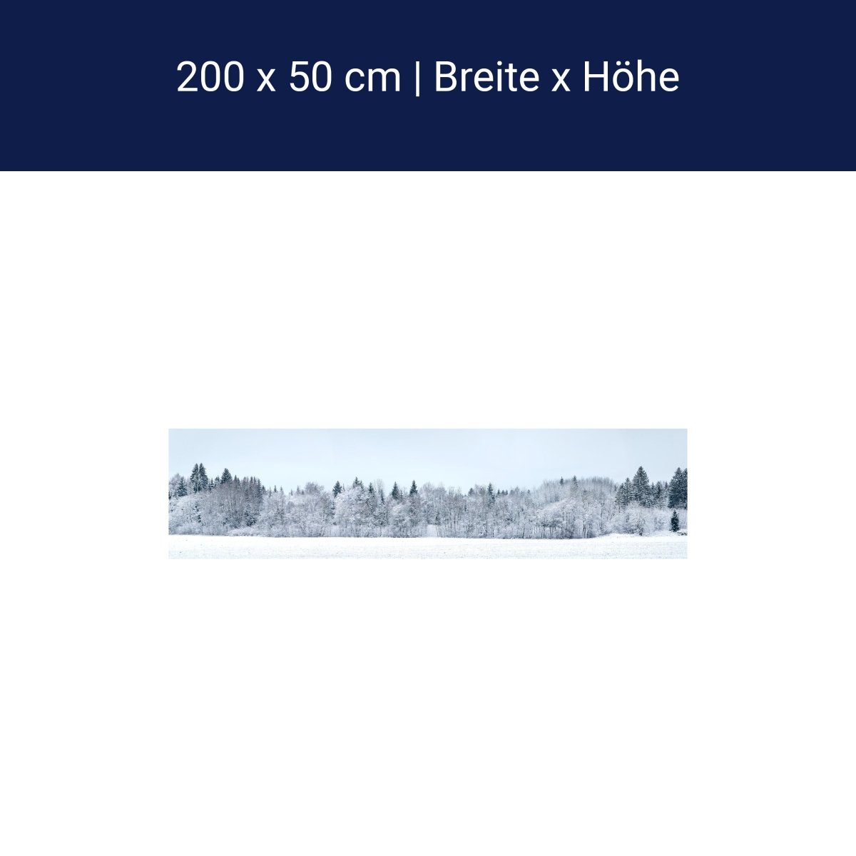 Panorama-Fototapete Winterwald M0090 Panorama-Fototapete Winterwald M0090