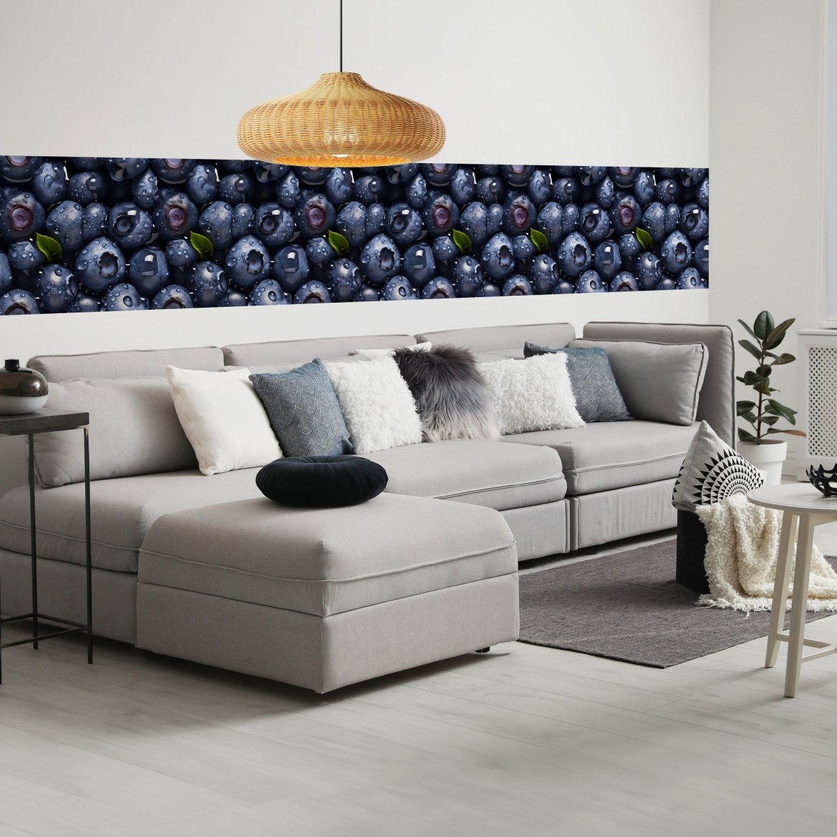 Panorama-Fototapete Blaubeeren M0094 - Bild 1 Panorama-Fototapete Blaubeeren M0094 - Bild 1