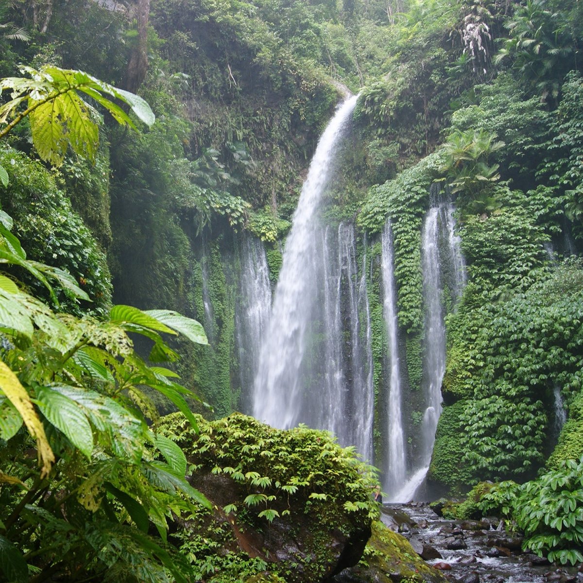 Beistelltisch Dschungelwasserfall M0174 entdecken - Bild 2 Beistelltisch Dschungelwasserfall M0174 entdecken - Bild 2