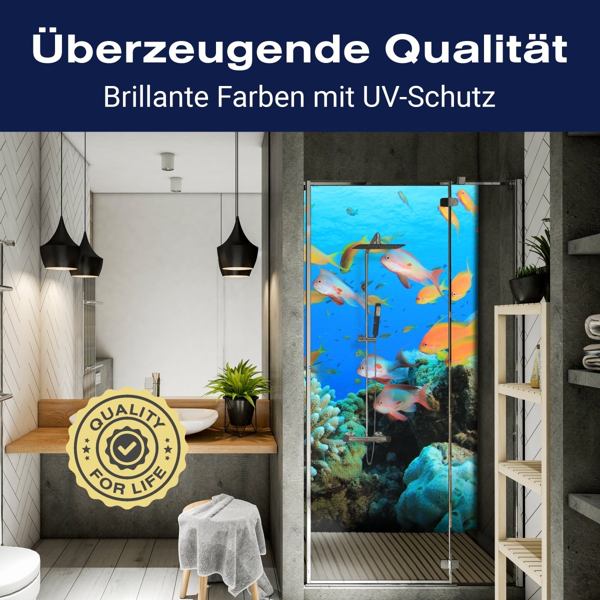 Duschwand Riffleben Unterwasser M0196 entdecken - Bild 2 Duschwand Riffleben Unterwasser M0196 entdecken - Bild 2