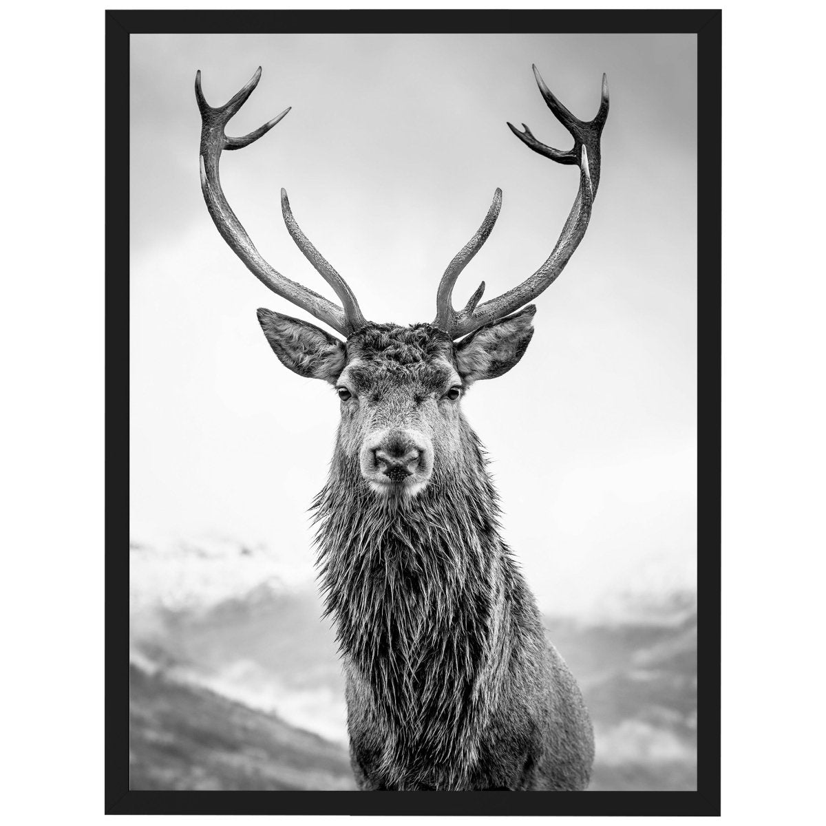 wandmotiv24 Poster, Poster - Tier, Hirsch, schwarz, weiß - M0215 - Bild 1 wandmotiv24 Poster, Poster - Tier, Hirsch, schwarz, weiß - M0215 - Bild 1
