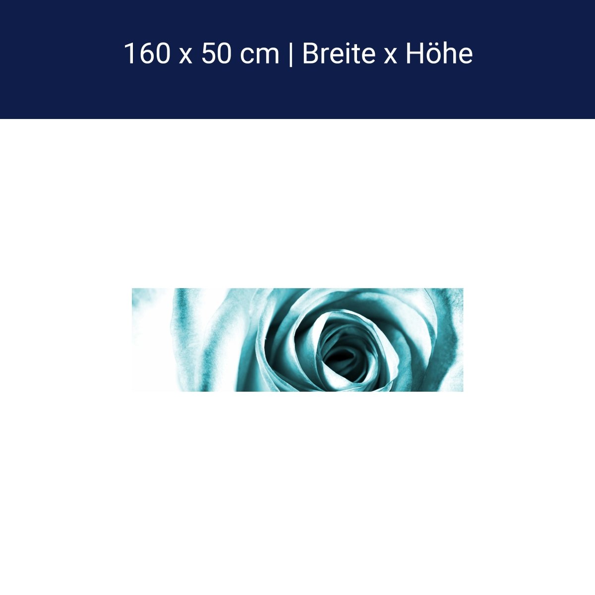 Küchenrückwand Blaue Rose Blüte M0227 Küchenrückwand Blaue Rose Blüte M0227