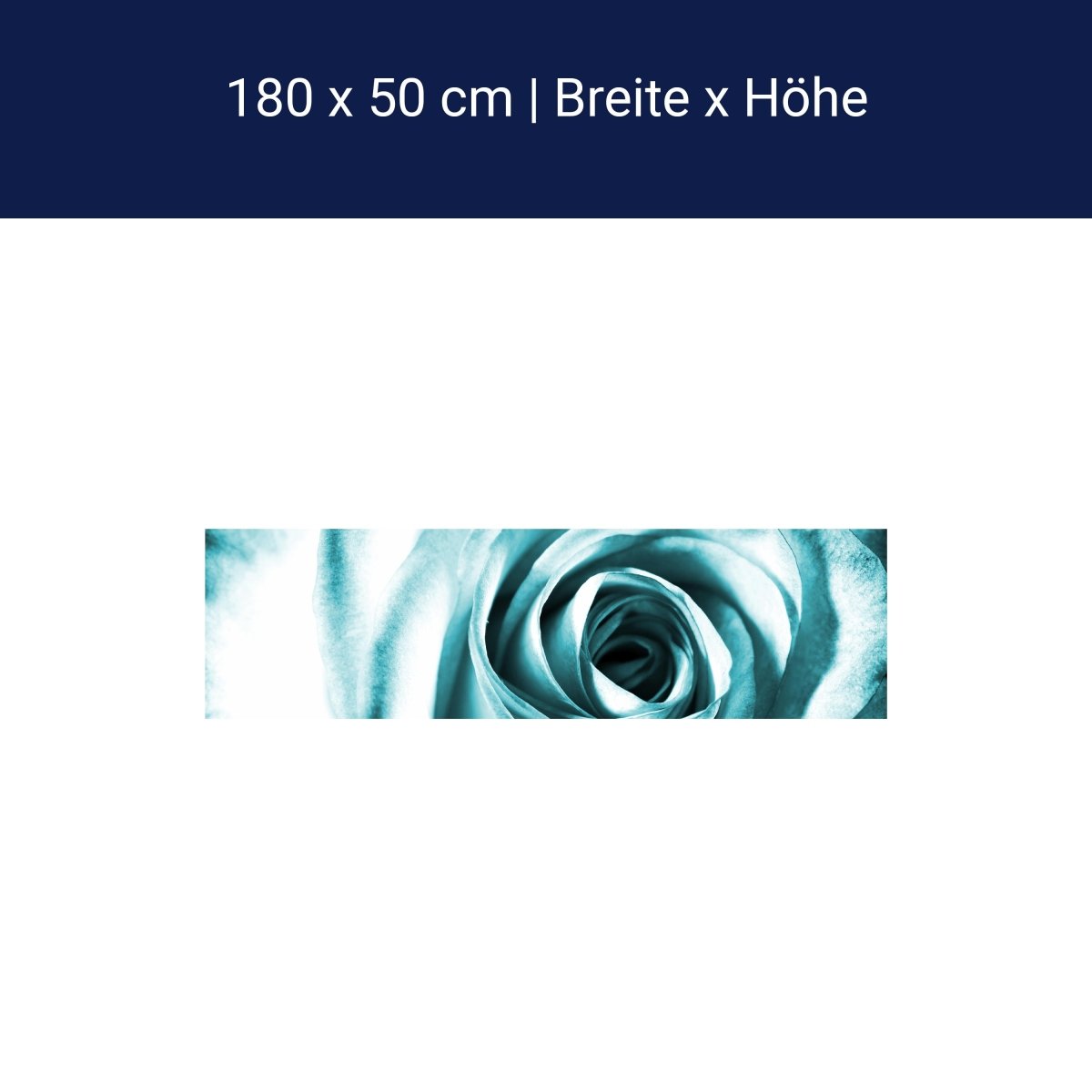 Küchenrückwand Blaue Rose Blüte M0227 Küchenrückwand Blaue Rose Blüte M0227