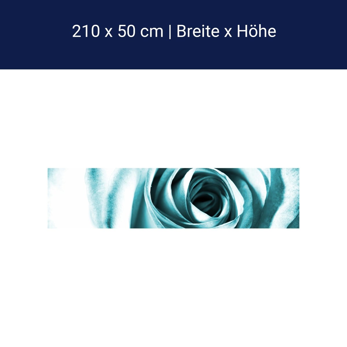 Küchenrückwand Blaue Rose Blüte M0227 Küchenrückwand Blaue Rose Blüte M0227