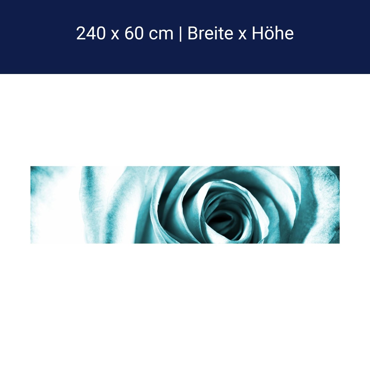 Küchenrückwand Blaue Rose Blüte M0227 Küchenrückwand Blaue Rose Blüte M0227