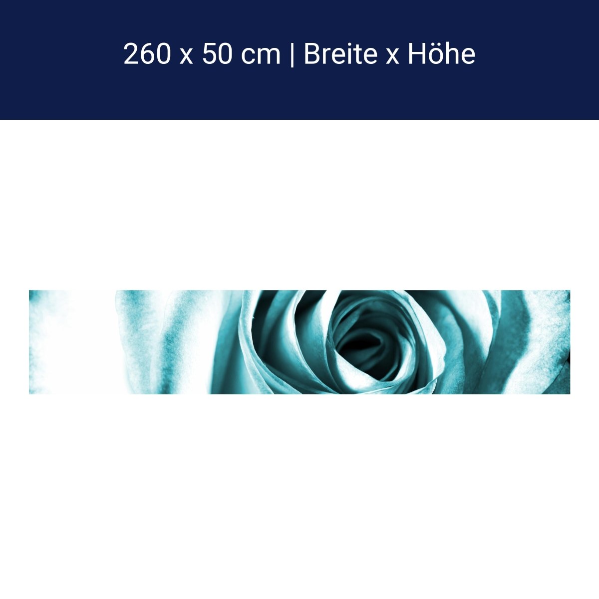 Küchenrückwand Blaue Rose Blüte M0227 Küchenrückwand Blaue Rose Blüte M0227