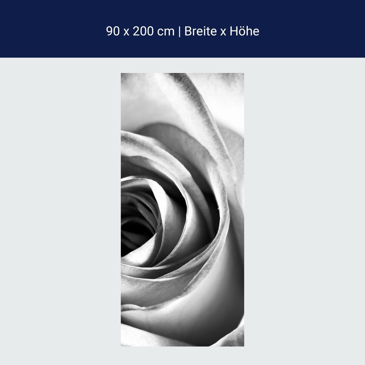 Duschwand weiße Rose Blüte M0233 Duschwand weiße Rose Blüte M0233