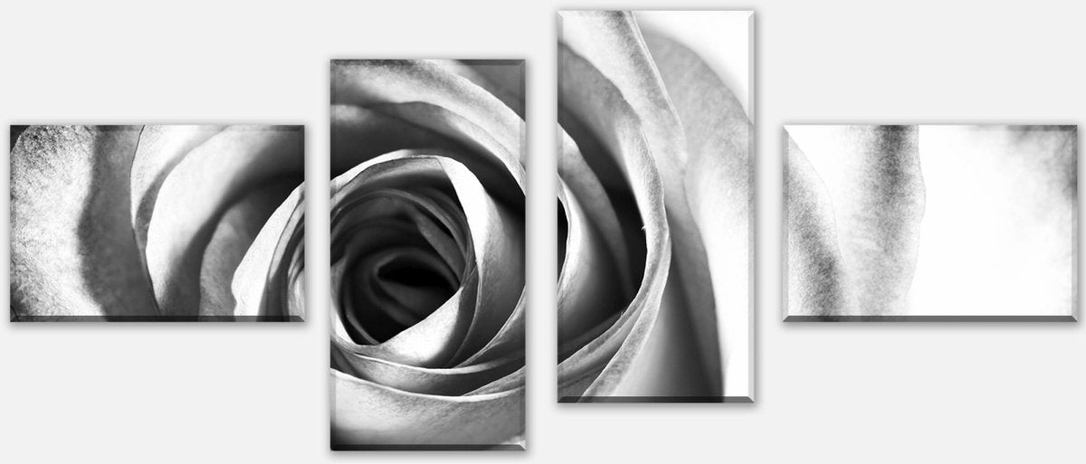 Leinwandbild Mehrteiler weiße Rose Blüte M0233 Leinwandbild Mehrteiler weiße Rose Blüte M0233