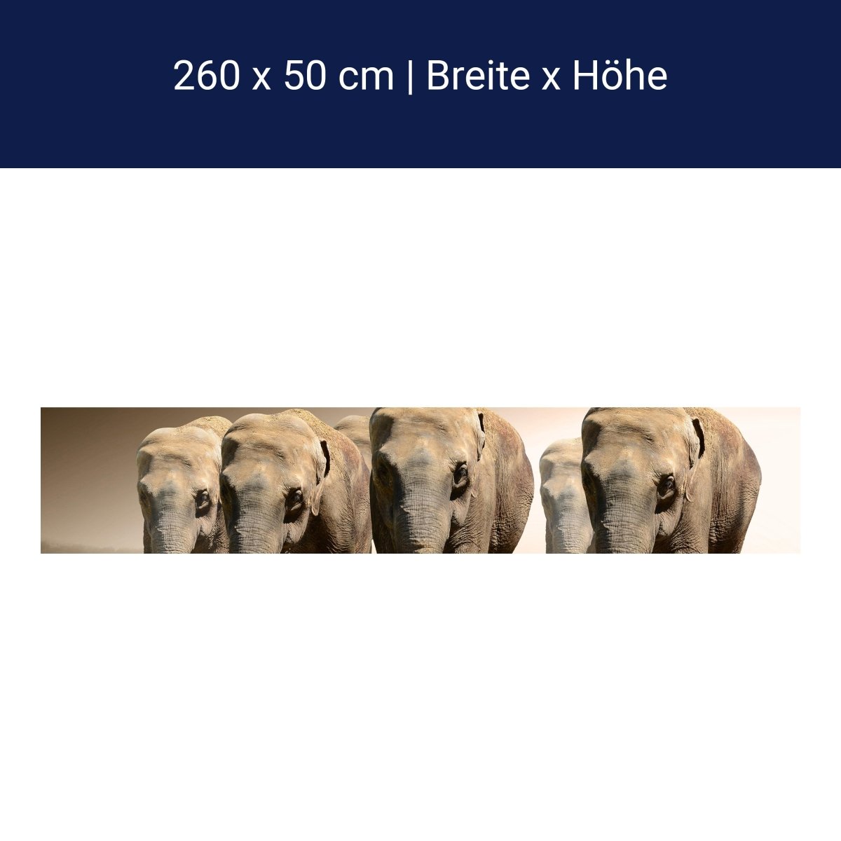 Küchenrückwand Elefantengruppe Afrika M0245 Küchenrückwand Elefantengruppe Afrika M0245