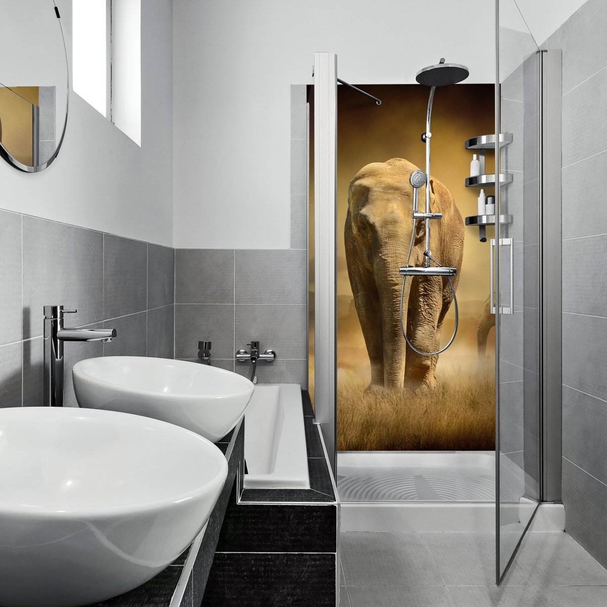 Duschwand Steppenelefant Afrika M0246 entdecken - Bild 1 Duschwand Steppenelefant Afrika M0246 entdecken - Bild 1