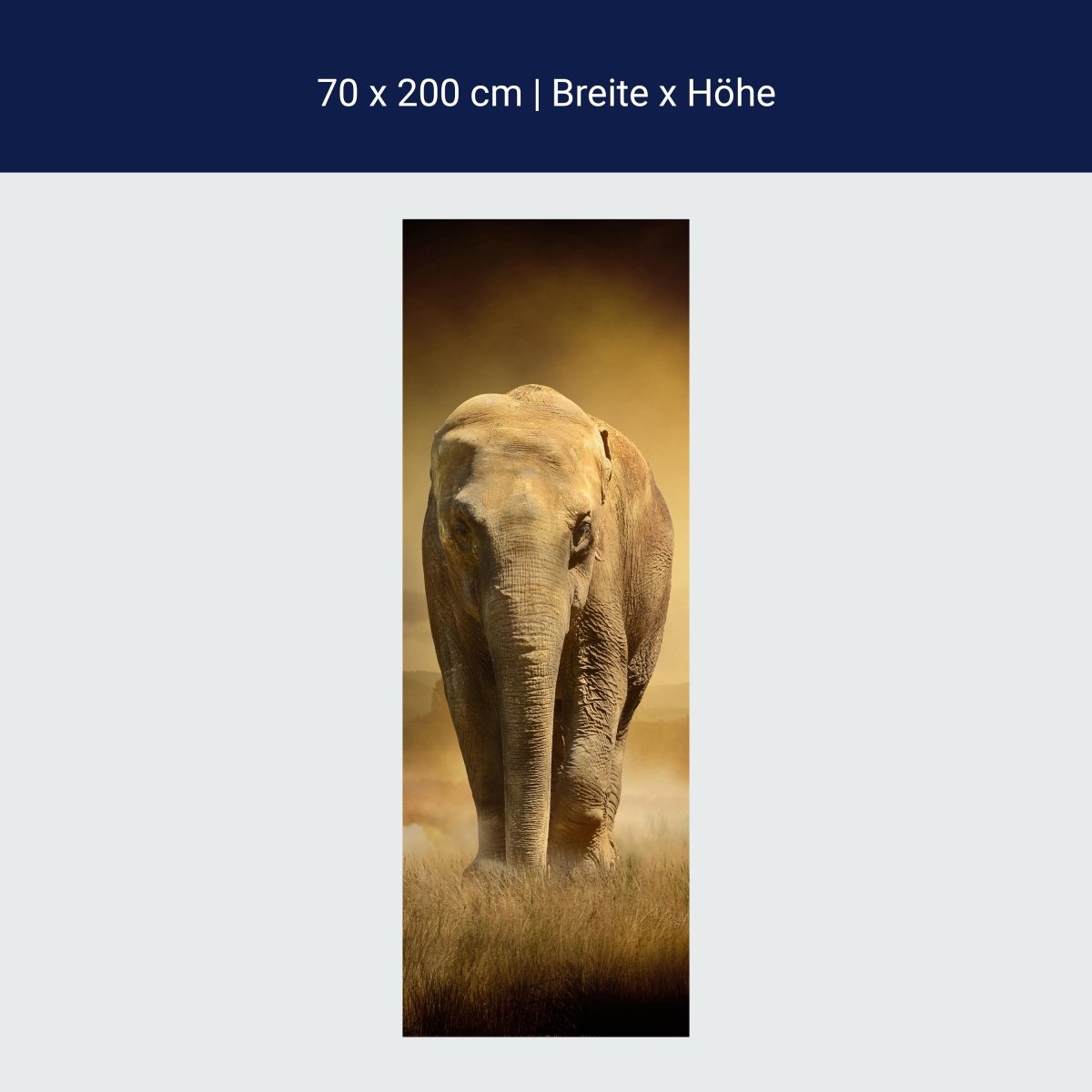 Duschwand Steppenelefant Afrika M0246 Duschwand Steppenelefant Afrika M0246