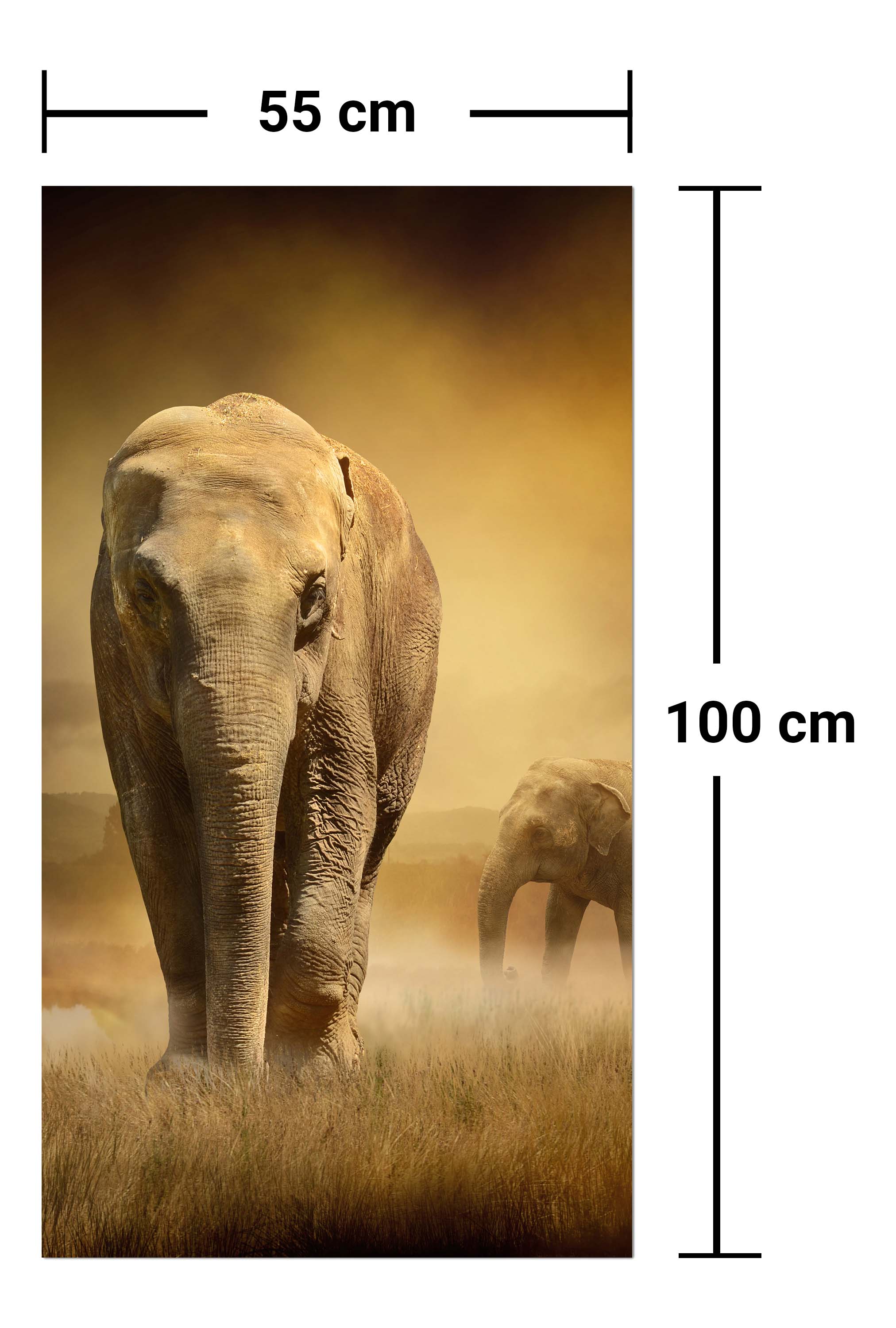 Garderobe Steppenelefant Afrika M0246 entdecken - Bild 7 Garderobe Steppenelefant Afrika M0246 entdecken - Bild 7