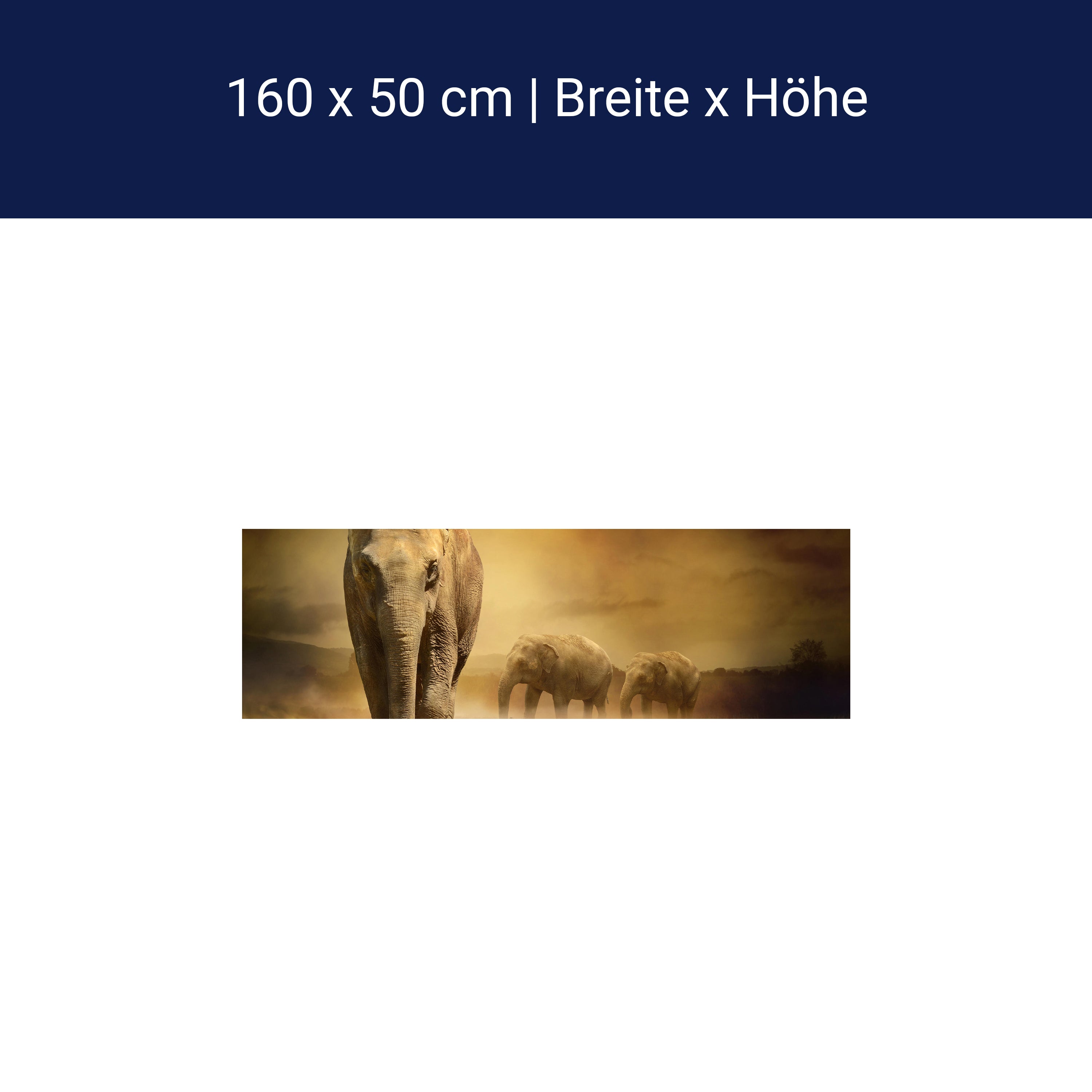 Küchenrückwand Steppenelefant Afrika M0246 Küchenrückwand Steppenelefant Afrika M0246