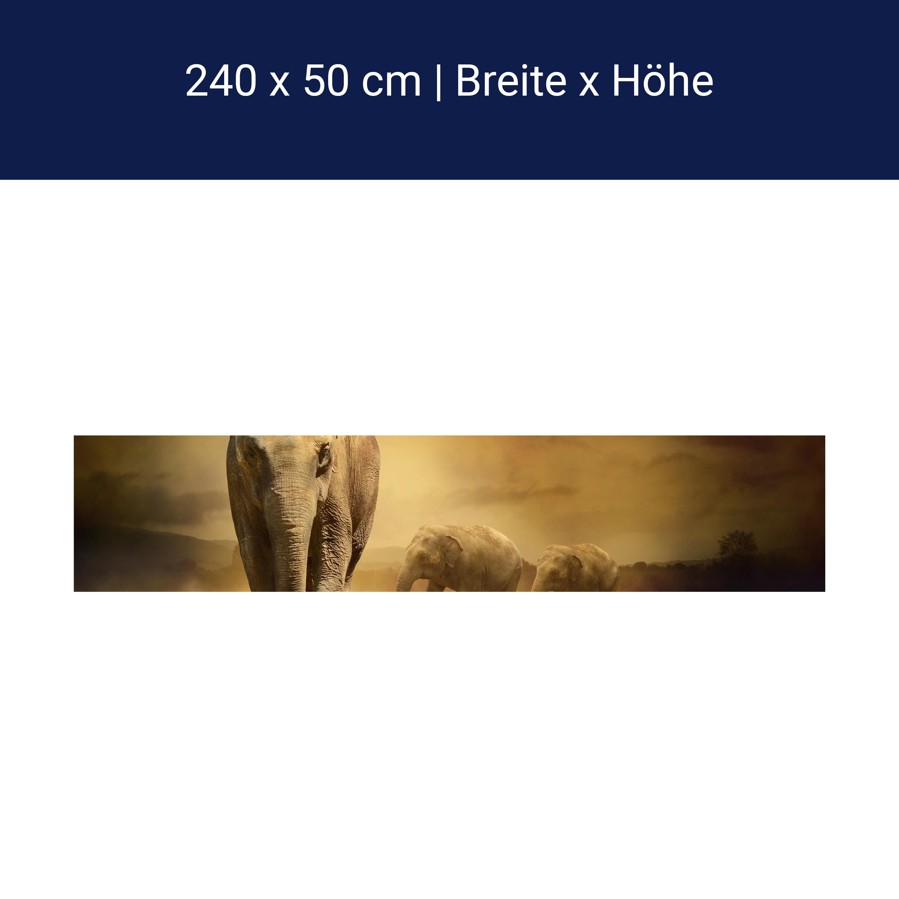 Küchenrückwand Steppenelefant Afrika M0246 Küchenrückwand Steppenelefant Afrika M0246