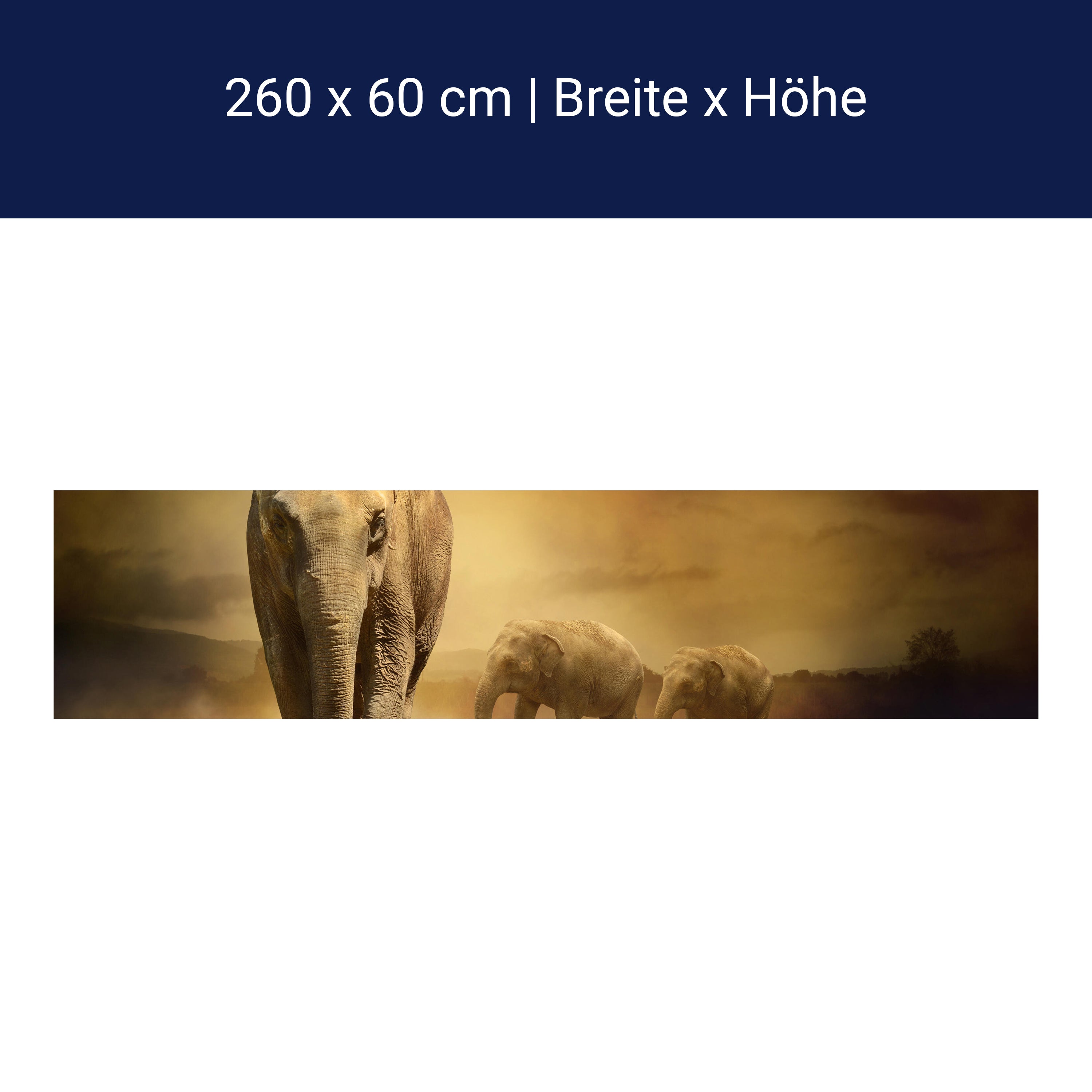 Küchenrückwand Steppenelefant Afrika M0246 Küchenrückwand Steppenelefant Afrika M0246