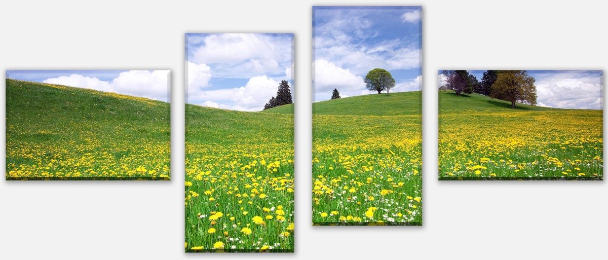 Leinwandbild Mehrteiler Sommerwiese M0335 Leinwandbild Mehrteiler Sommerwiese M0335