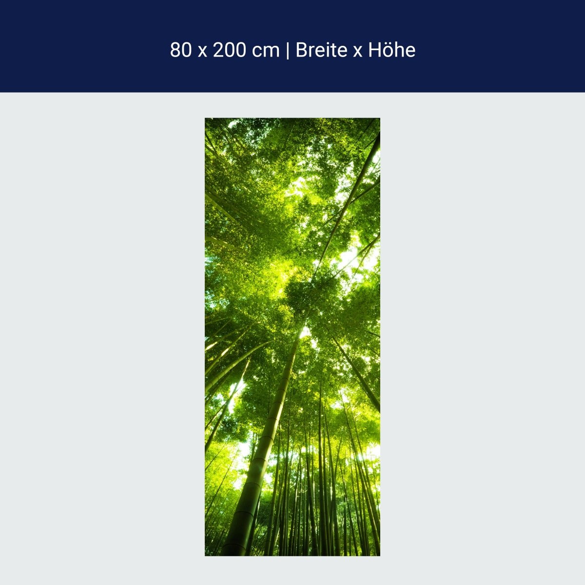 Duschwand Bambus Wald M0338 Duschwand Bambus Wald M0338