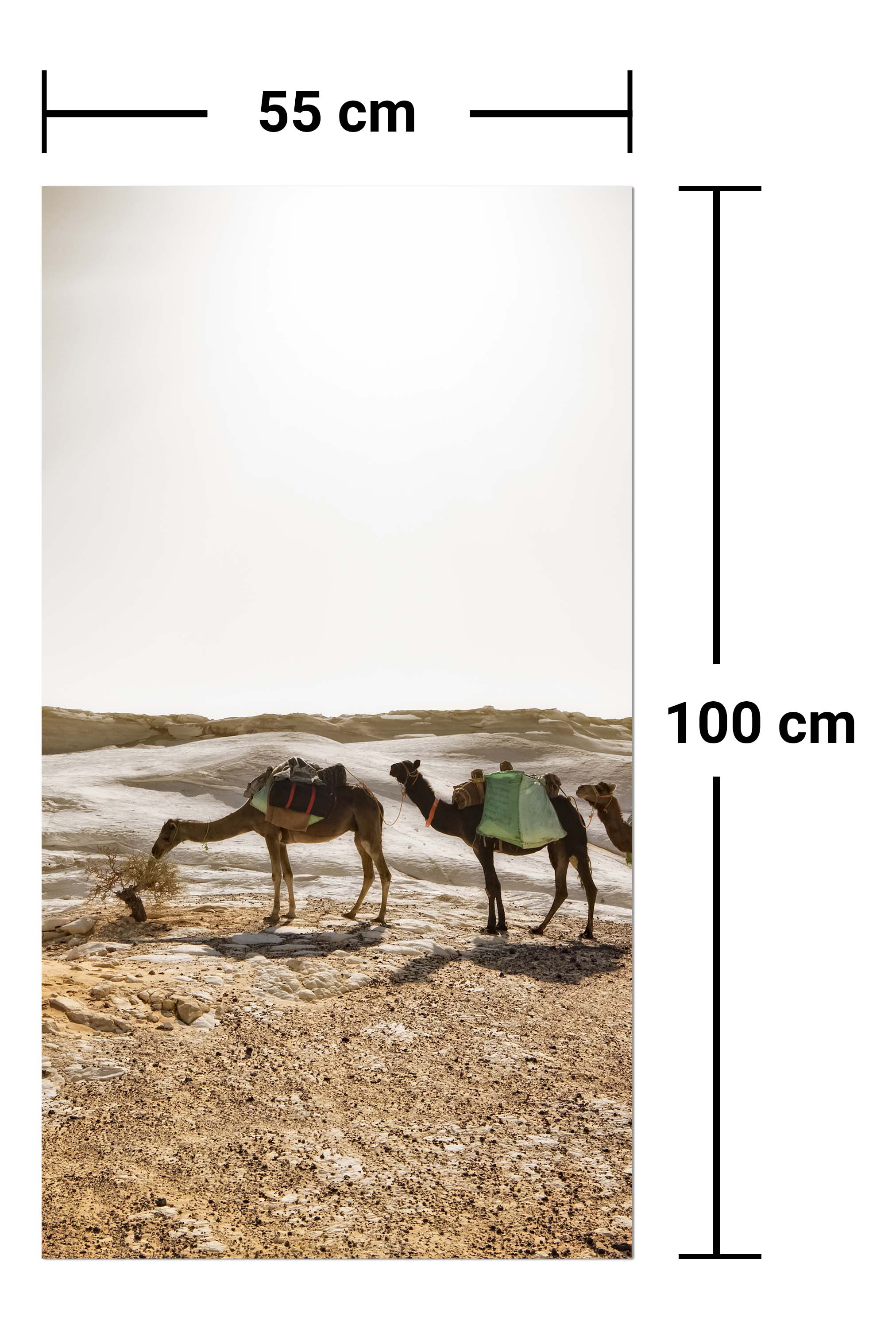 Garderobe Karavane M0343 entdecken - Bild 7 Garderobe Karavane M0343 entdecken - Bild 7