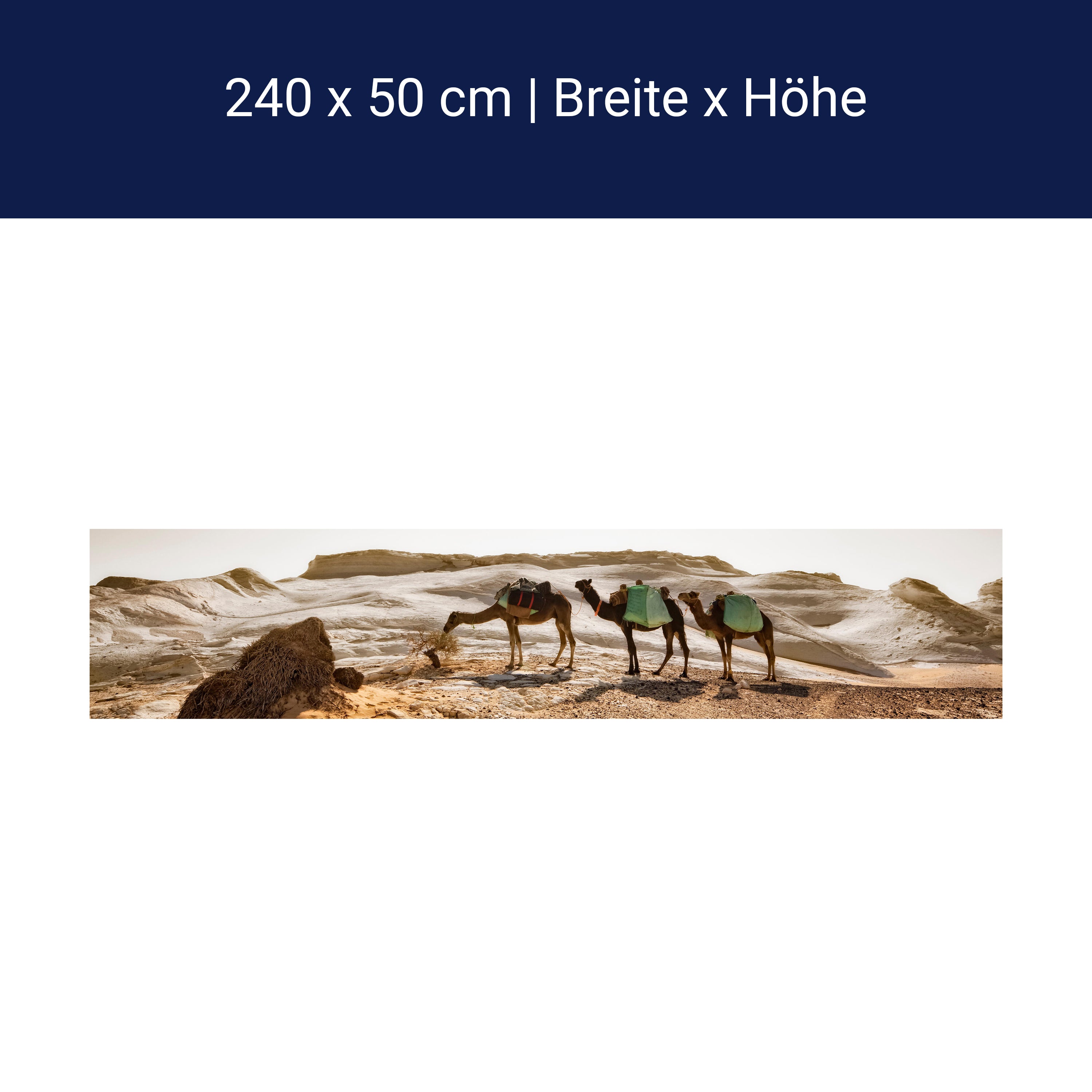 Küchenrückwand Karavane M0343 Küchenrückwand Karavane M0343