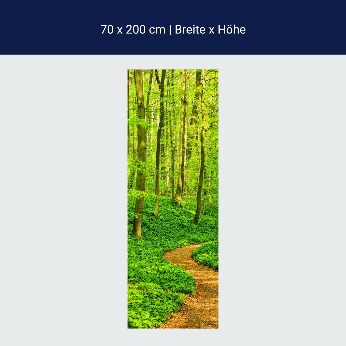 Duschwand Waldpfad M0345 Duschwand Waldpfad M0345