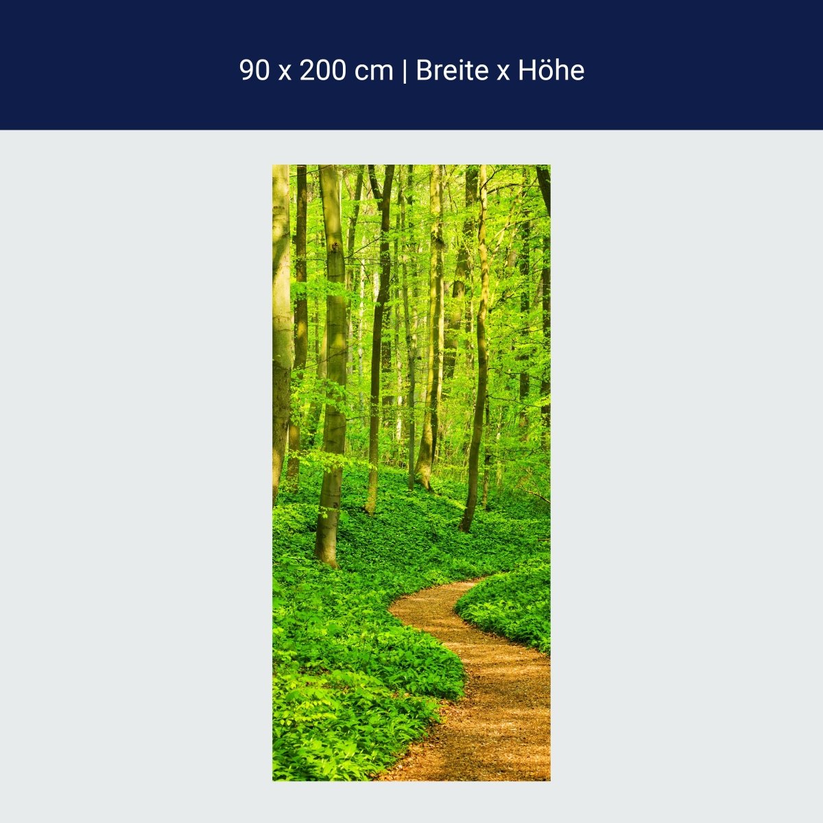 Duschwand Waldpfad M0345 Duschwand Waldpfad M0345