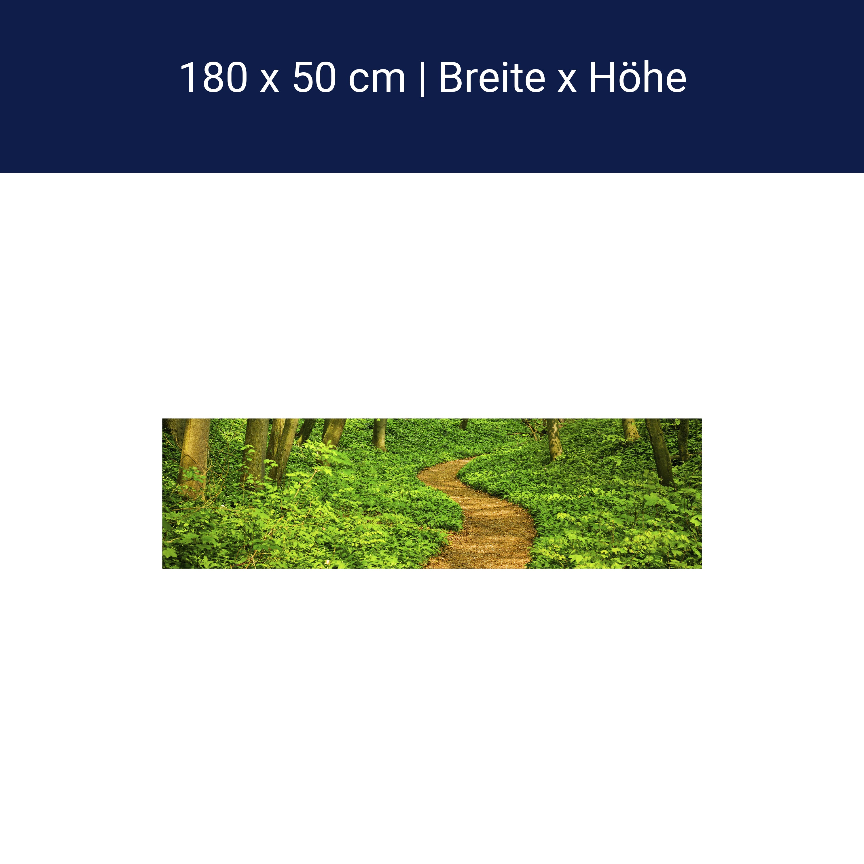 Küchenrückwand Waldpfad M0345 Küchenrückwand Waldpfad M0345